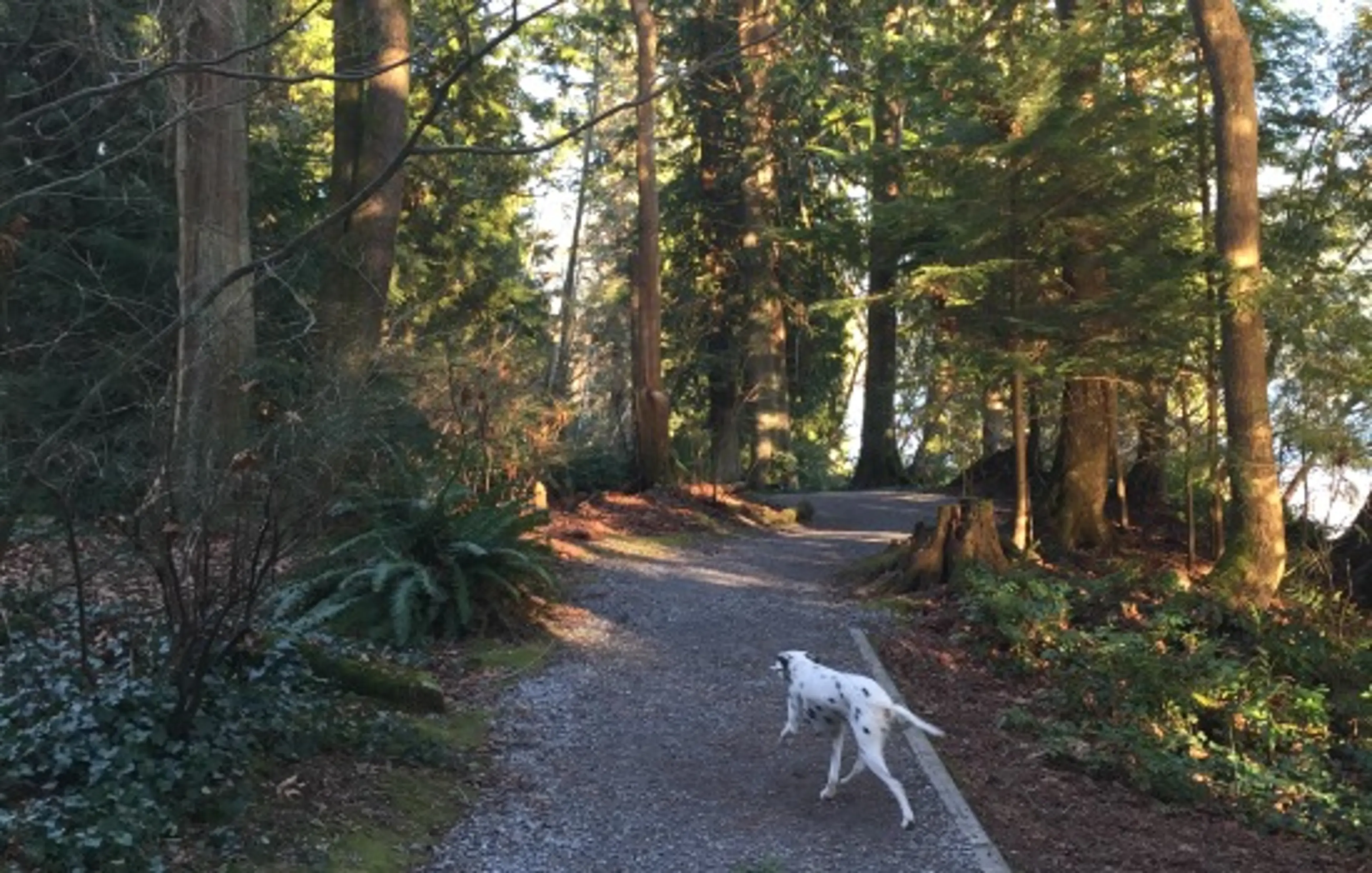 Where Local Families Love To Play Outside: 5 Can’t-Miss Spots on Vancouver’s North Shore
