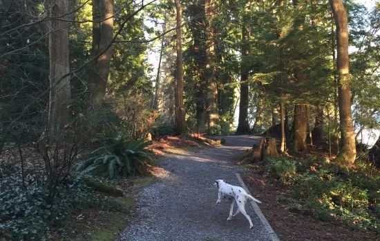 Where Local Families Love To Play Outside: 5 Can’t-Miss Spots on Vancouver’s North Shore