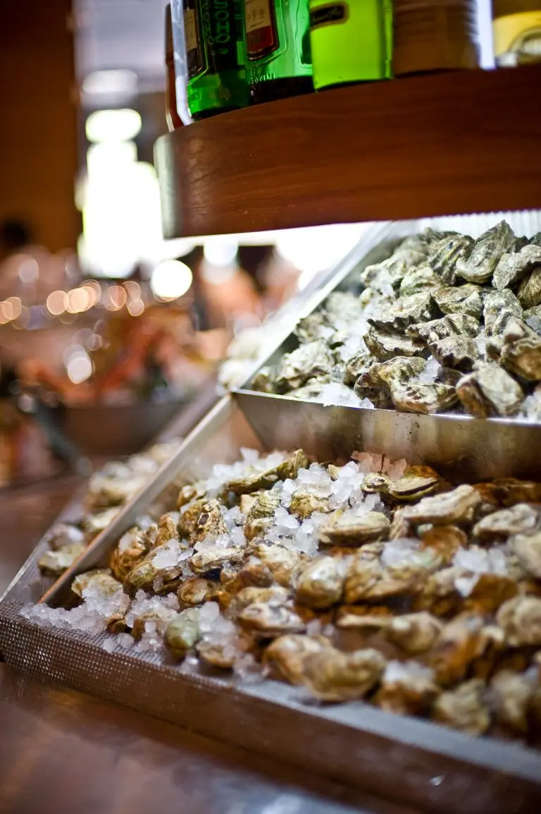 coast-oysters