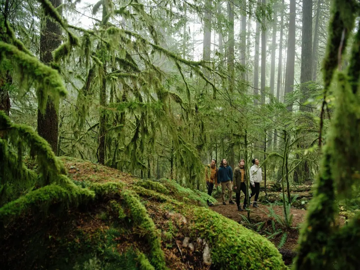A group of friends walking through a moss covered forest in North Vancouver.