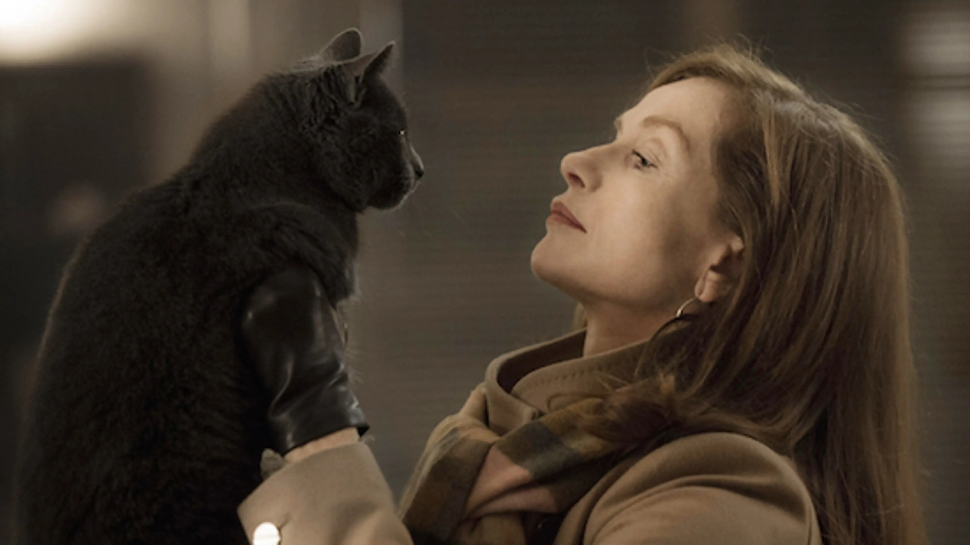 Zombies, Verhoeven, and more highlights from TIFF at Vancouver International Film Festival