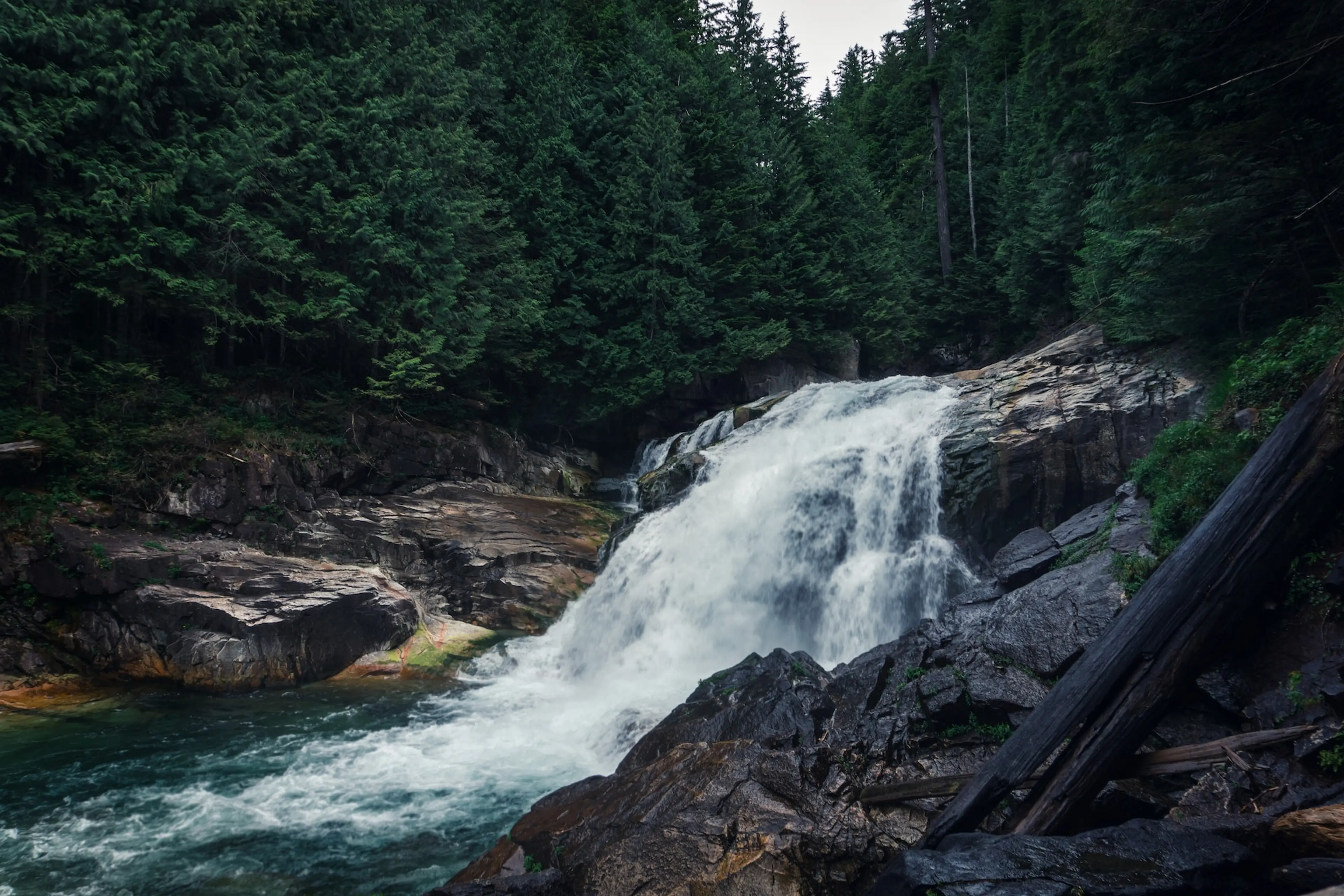 April 2023 Vancouver Hike of the Month: Lower Falls