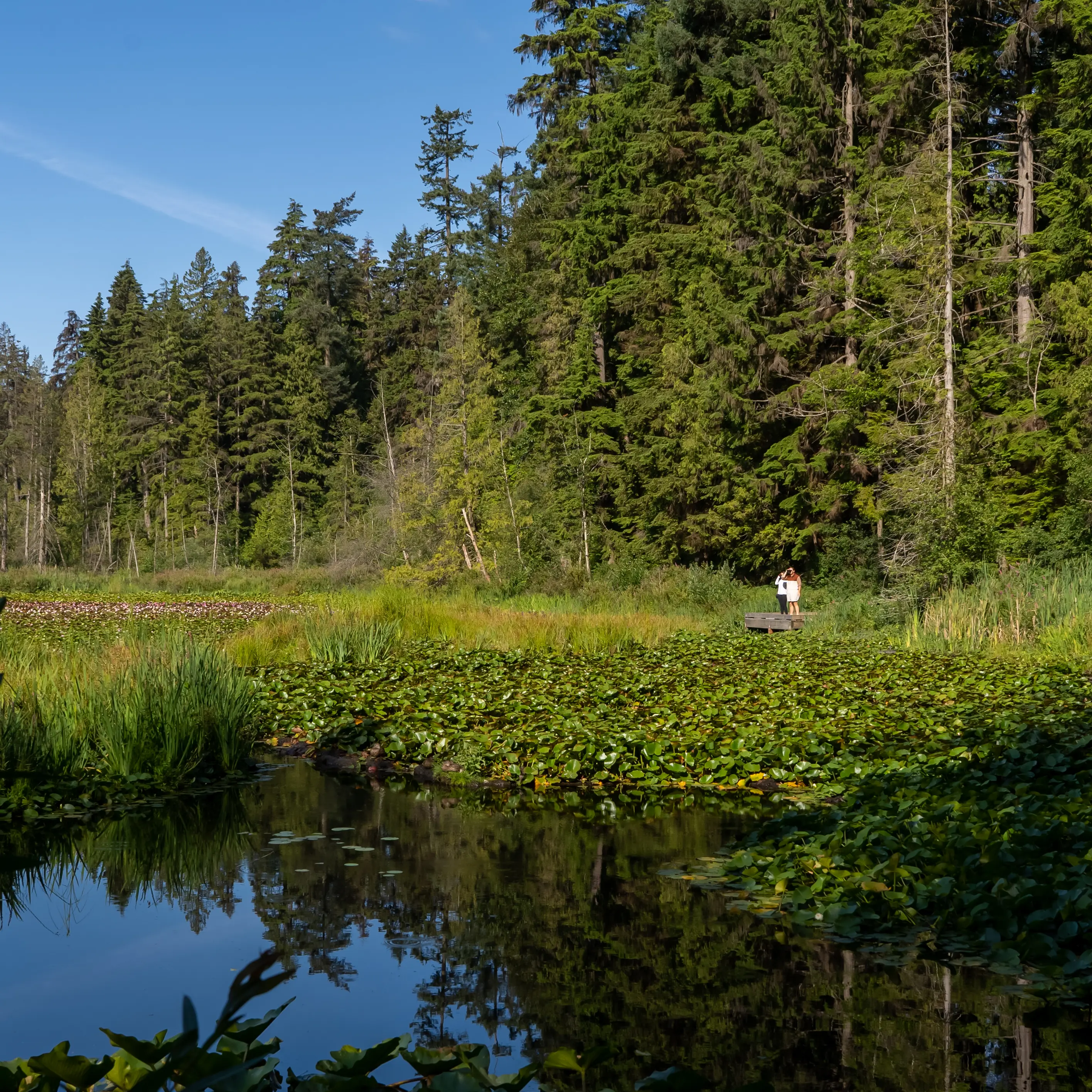 Beaver Lake