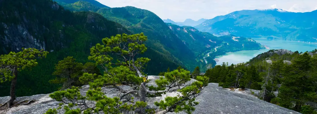 The view from the Stawamus Chief in Squamish, BC