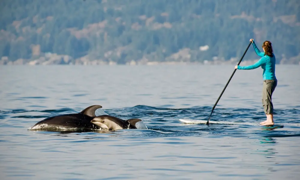5 Ways to Get Out on the Water