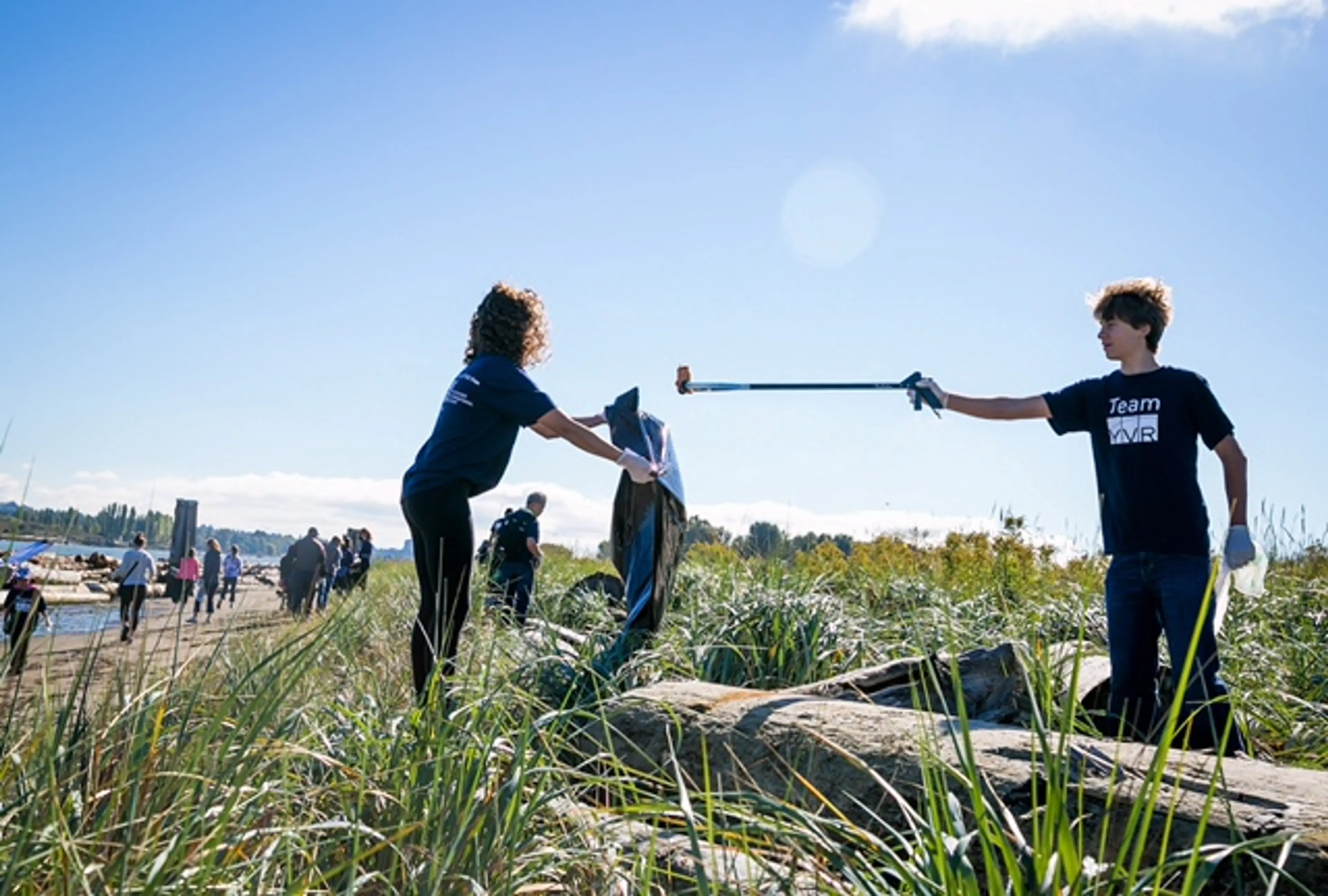 Shoreline Cleanup