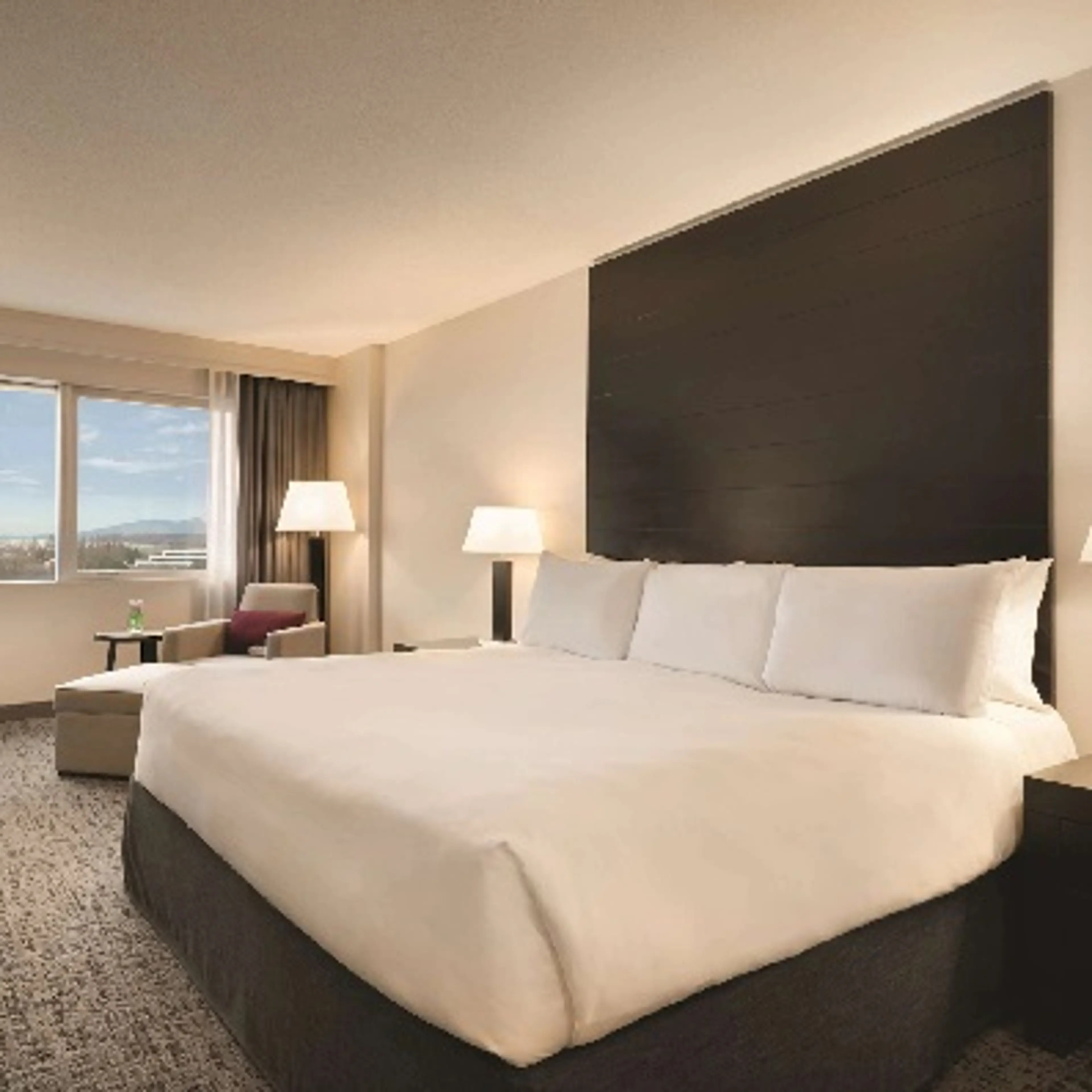 Standard Room - King Bed