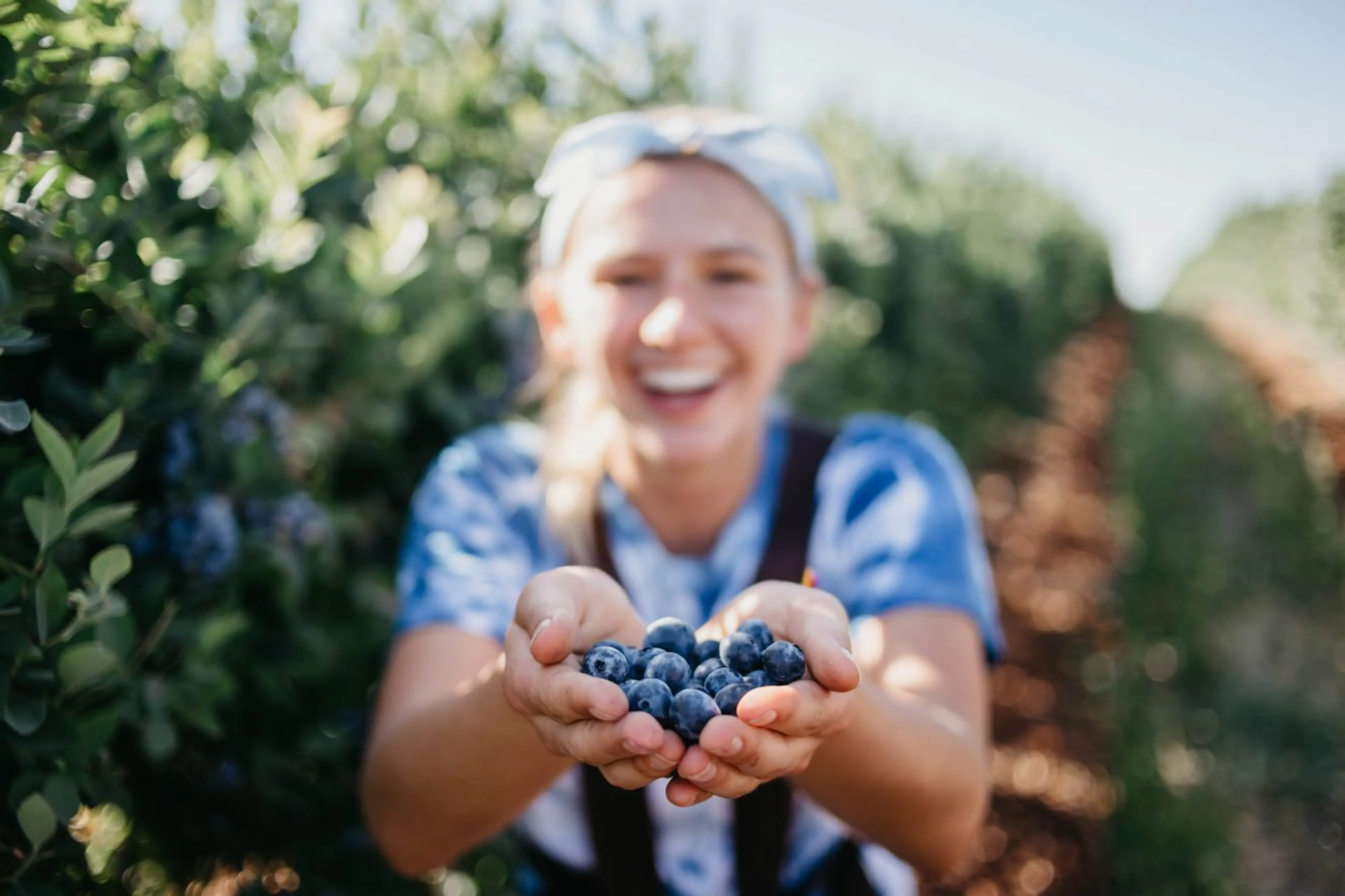 UBC Blueberry Festival