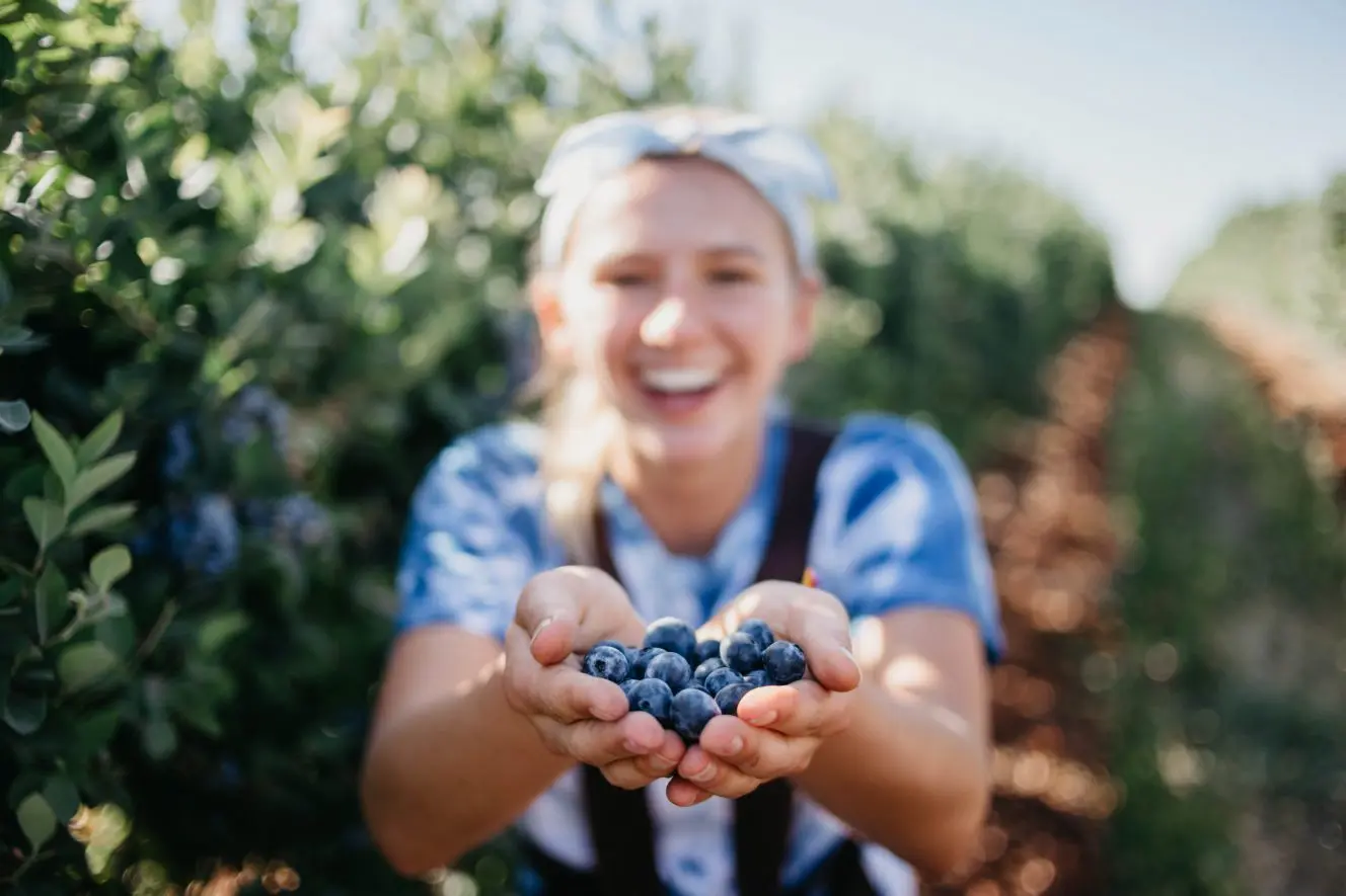 UBC Blueberry Festival