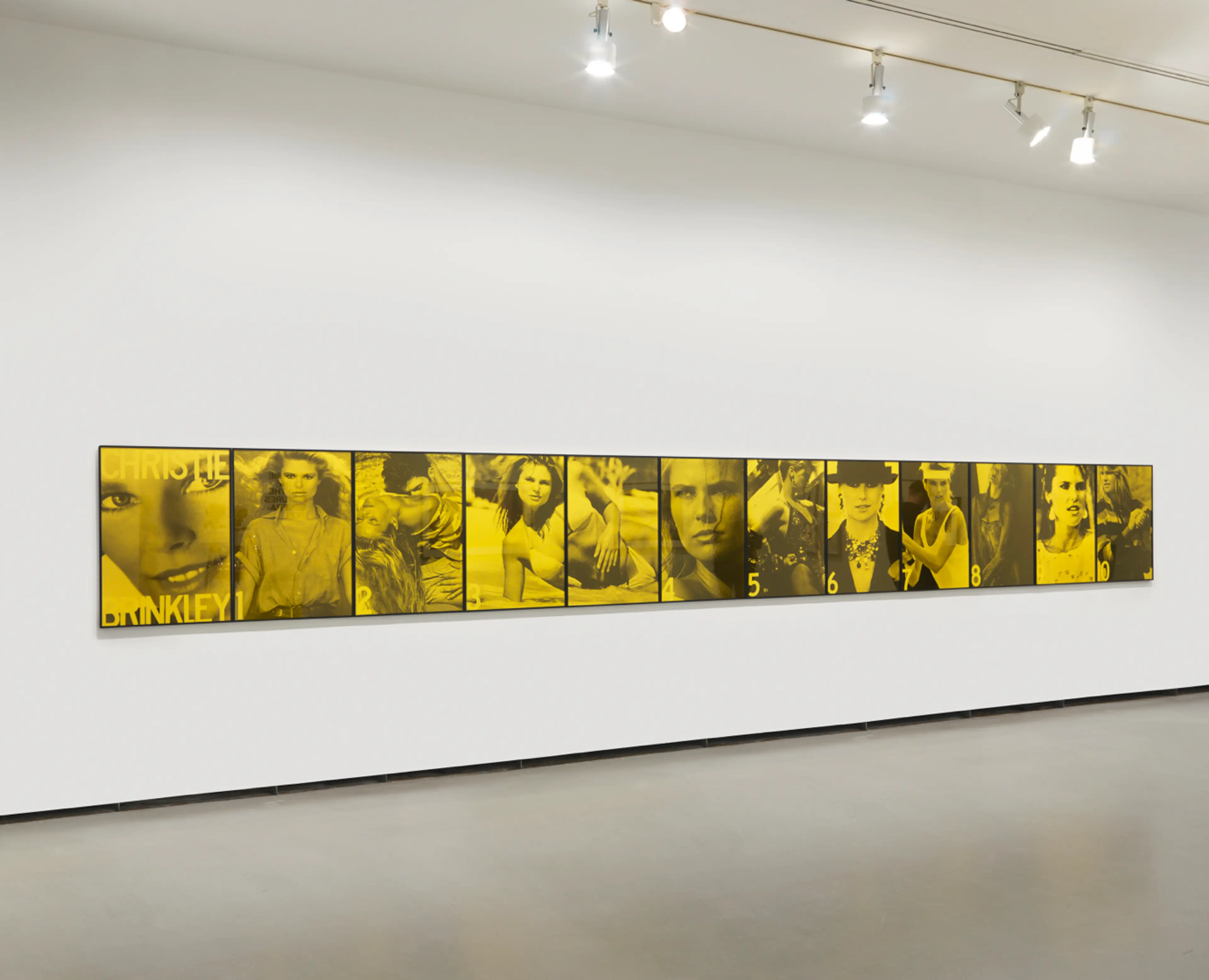New Exhibition at the Vancouver Art Gallery Interrogates Extreme Beauty