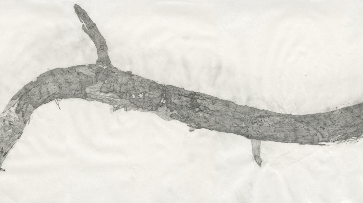 w-1260h-709-504b6e-stick_banner