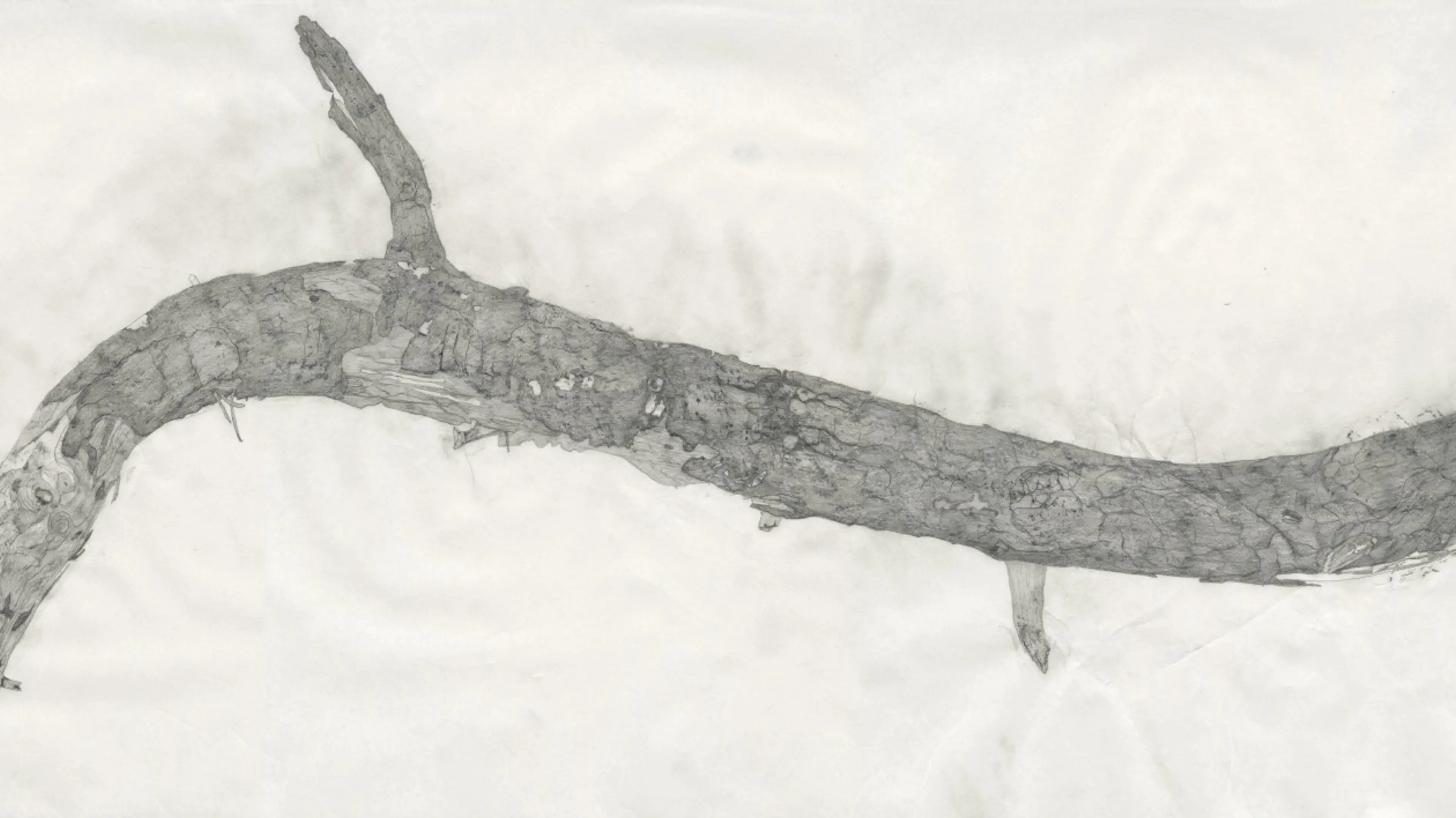 w-1260h-709-504b6e-stick_banner