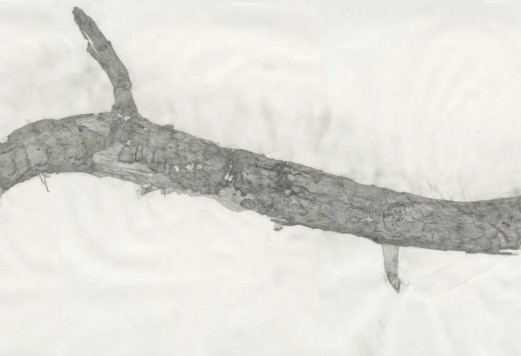 w-1260h-709-504b6e-stick_banner