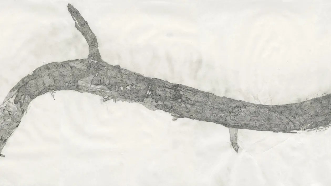 w-1260h-709-504b6e-stick_banner