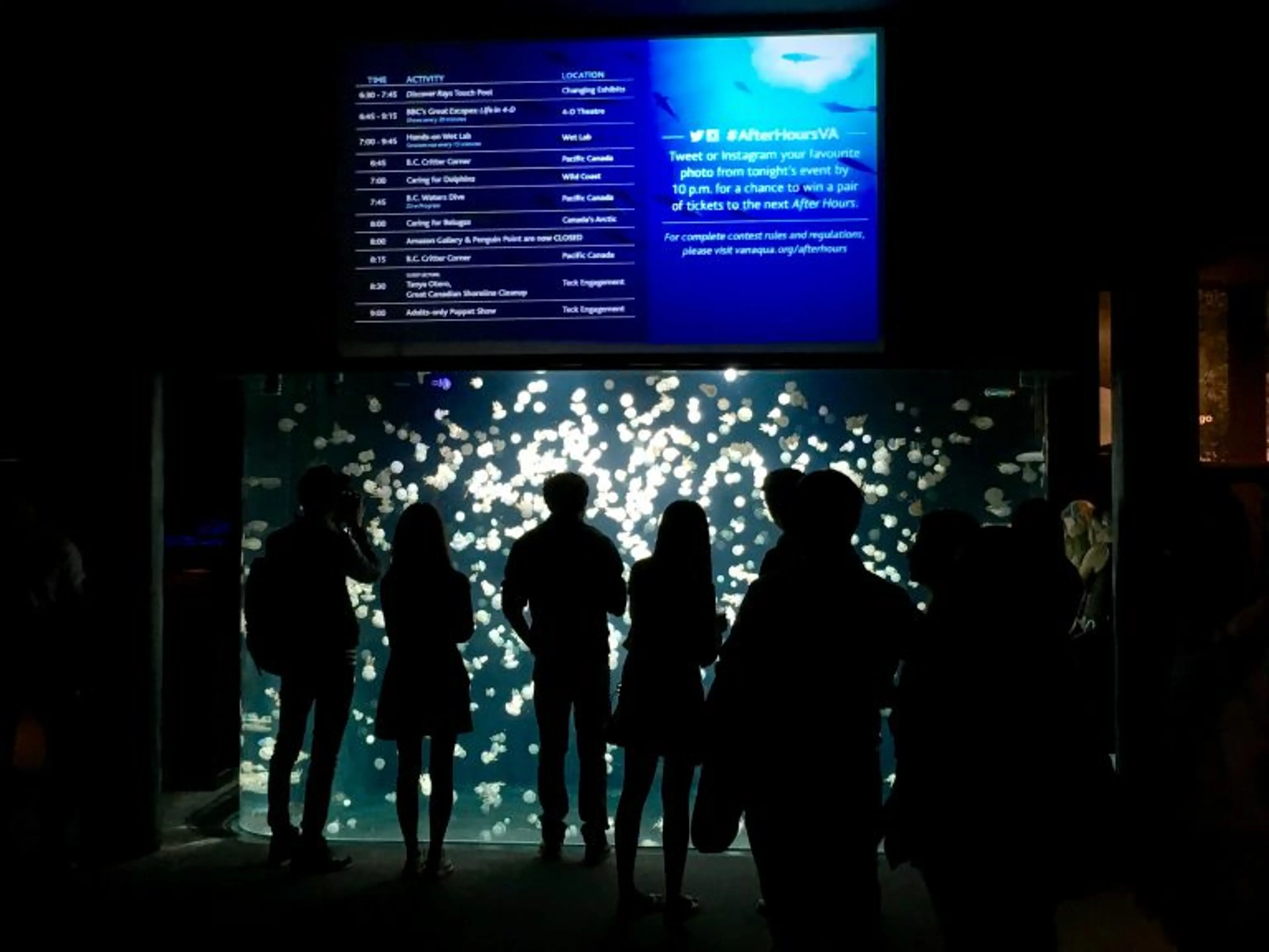 Vancouver Aquarium’s After Hours Geared to Grown-Ups