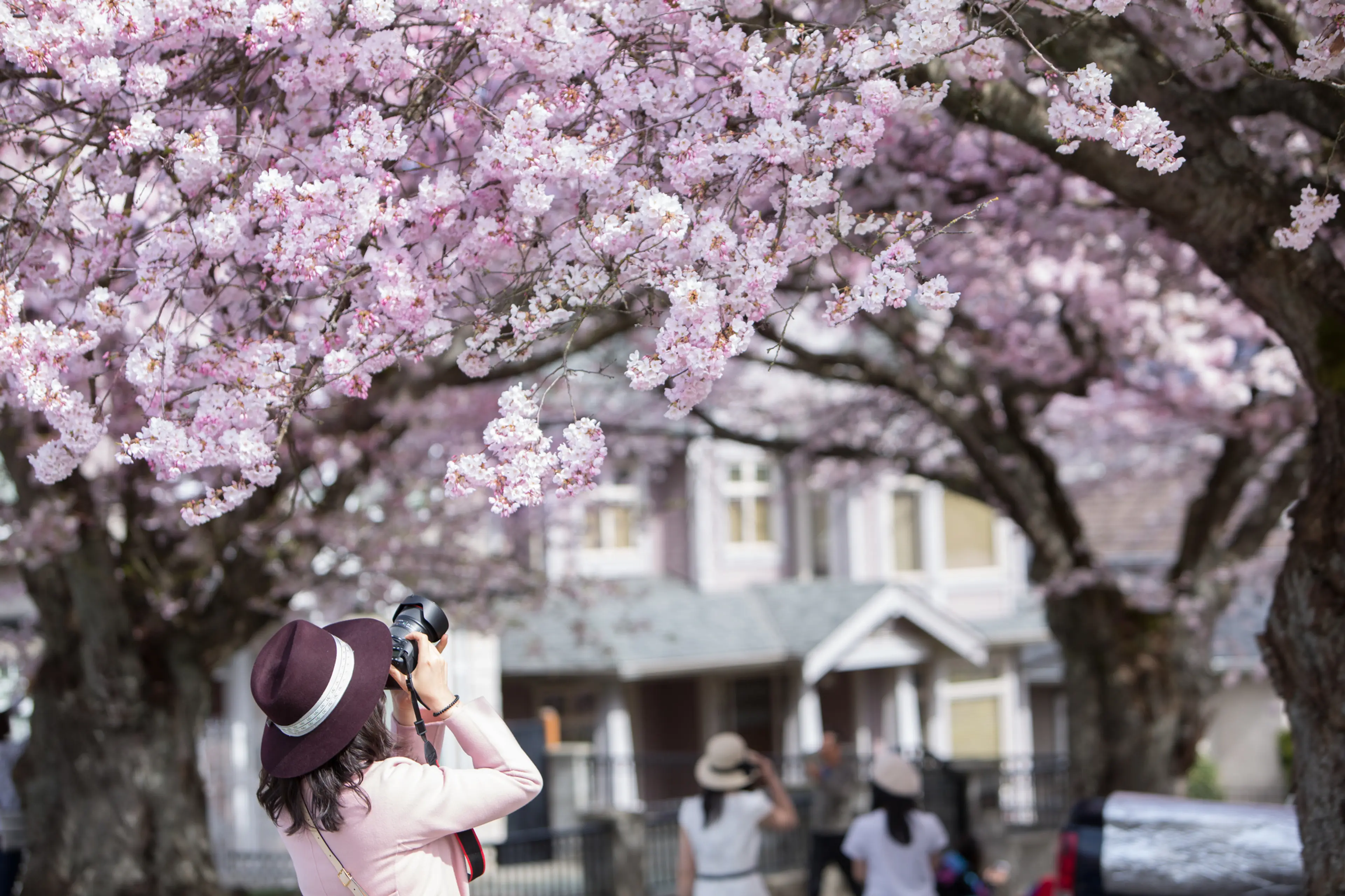 Spring in Vancouver