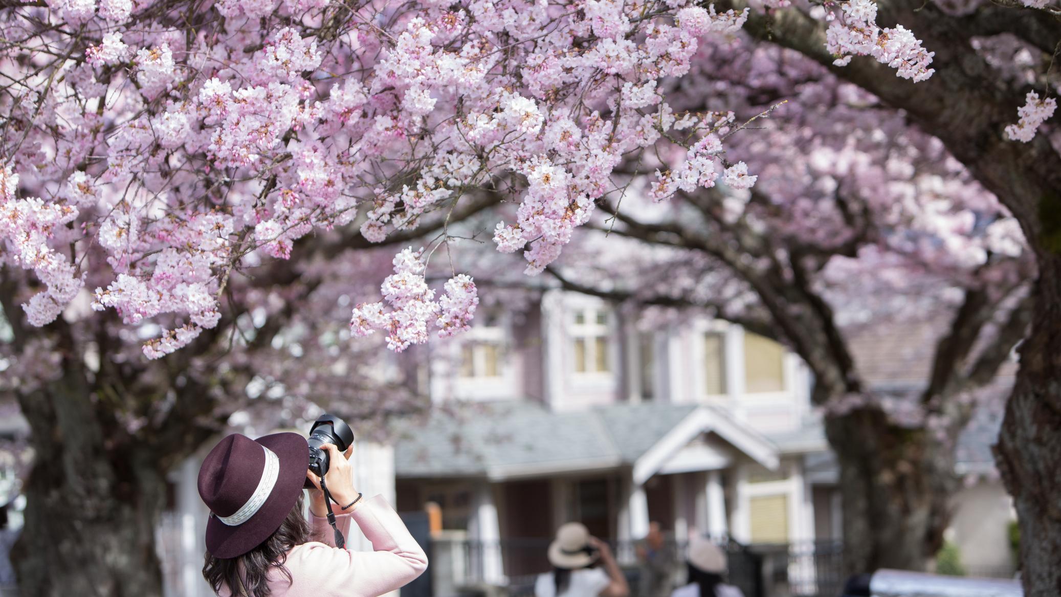 Spring in Vancouver
