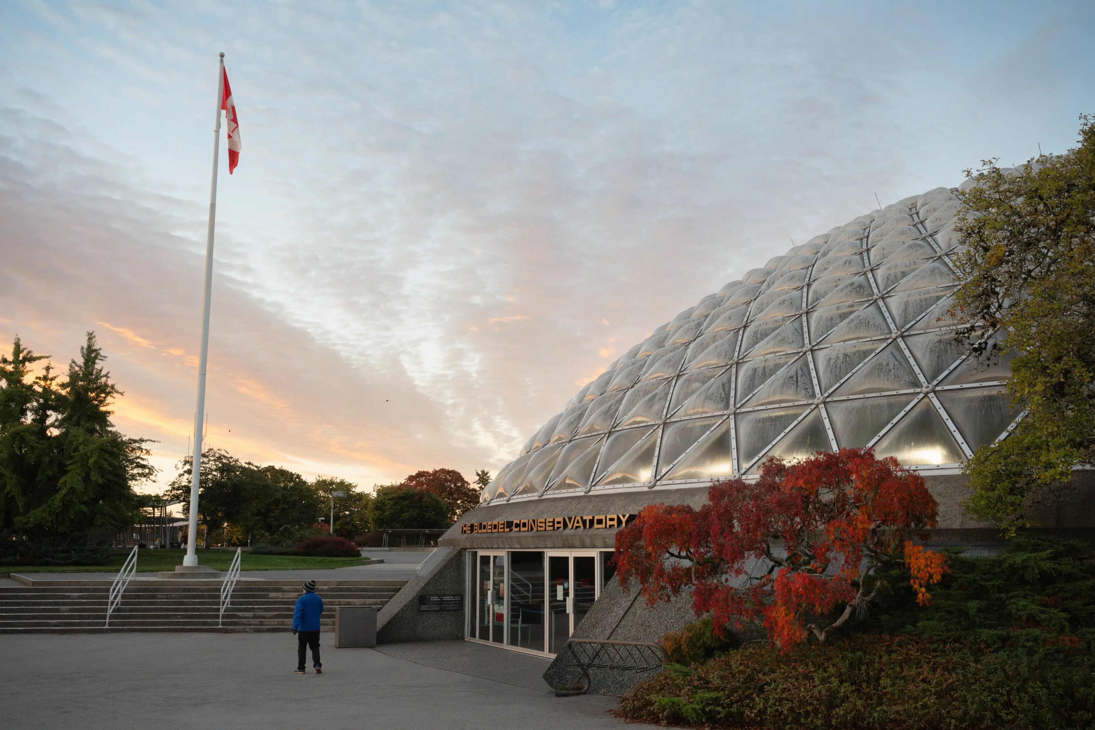 A man strolling in Queen Elizabeth Park passed the Bloedel Conservatory.