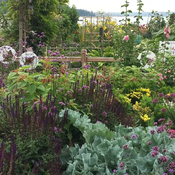 Ambleside Butterfly Garden