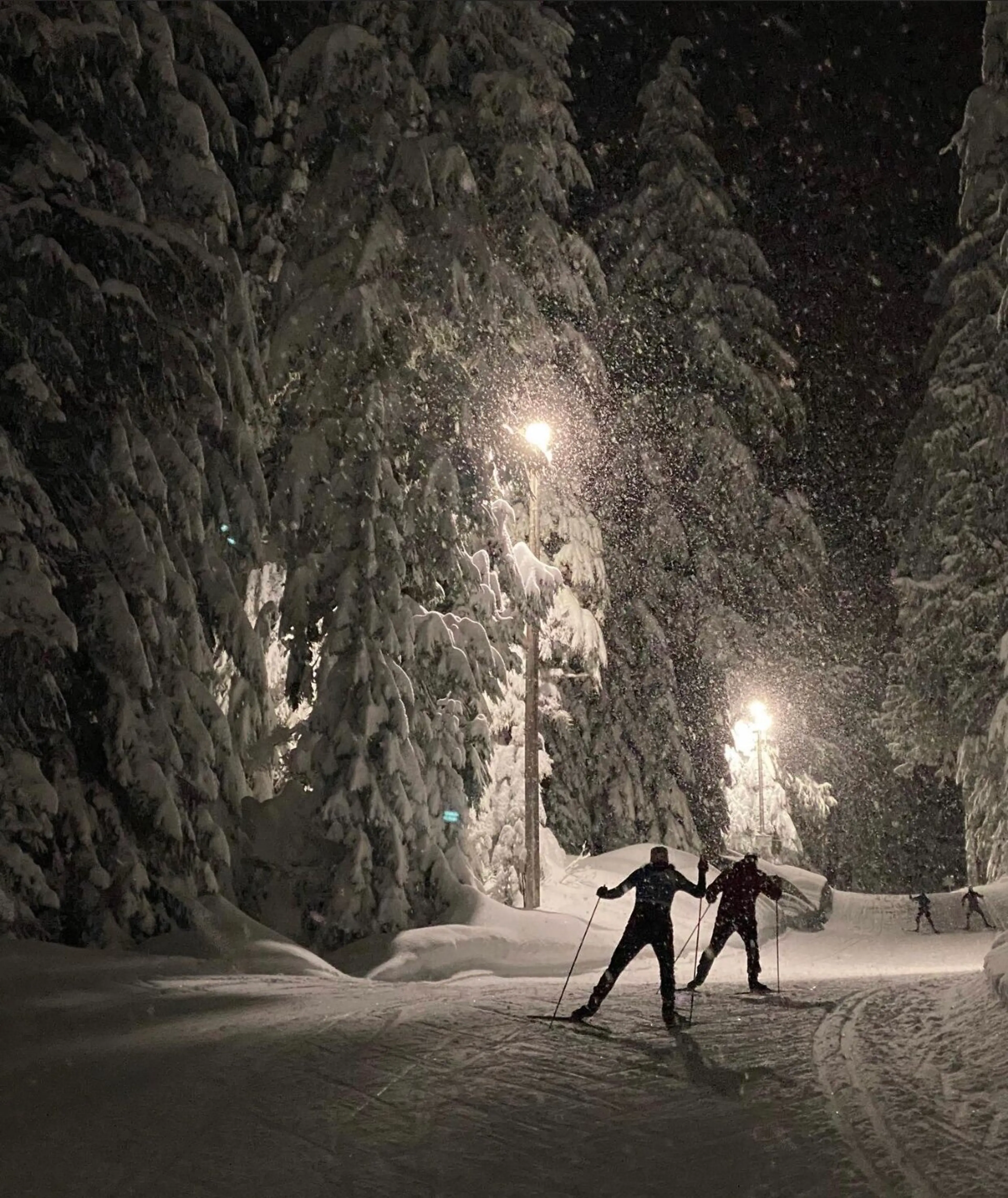 Cross country skiing at night at Cypress Mountain near Vancouver