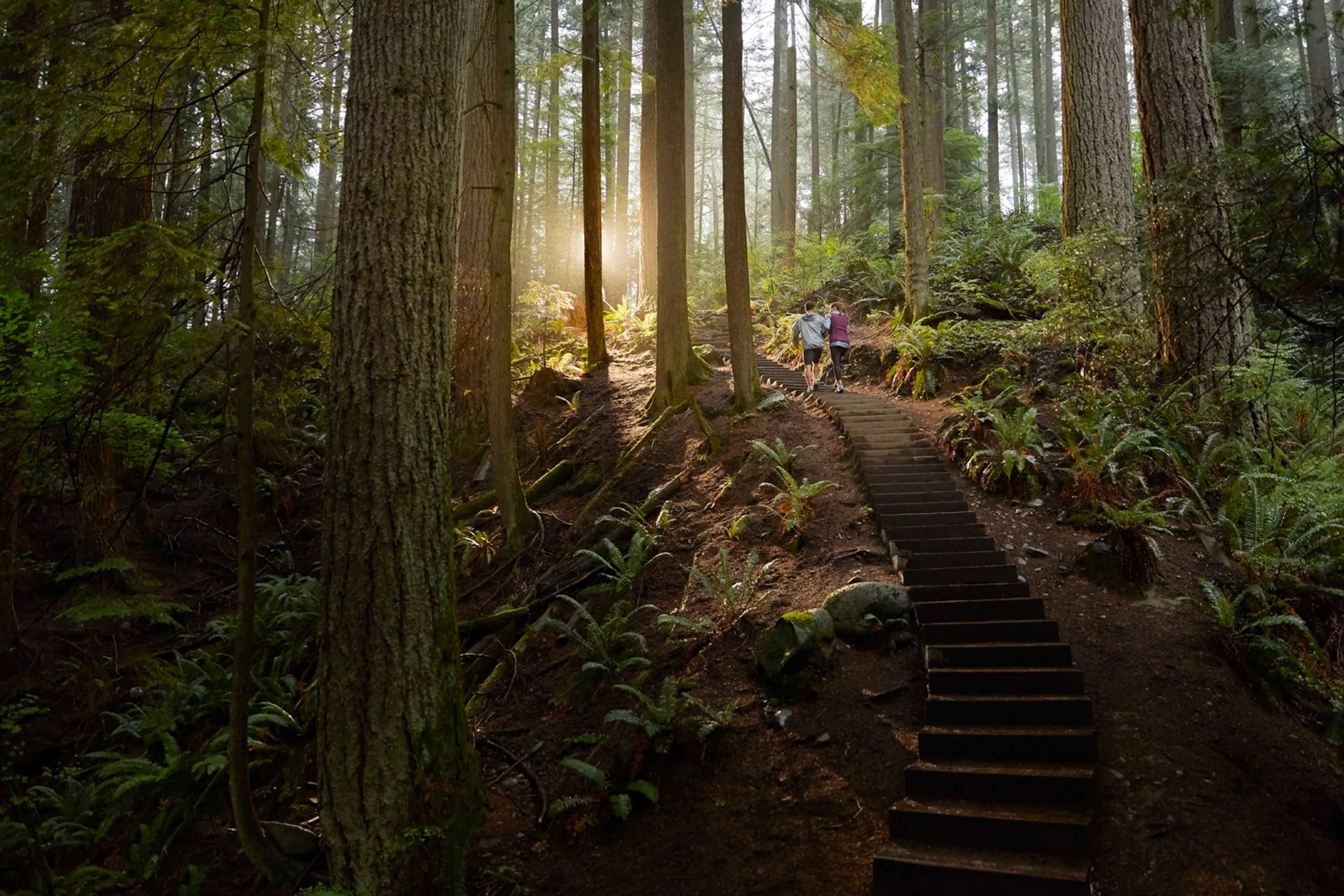 11 Things to Know Before Hiking the Grouse Grind