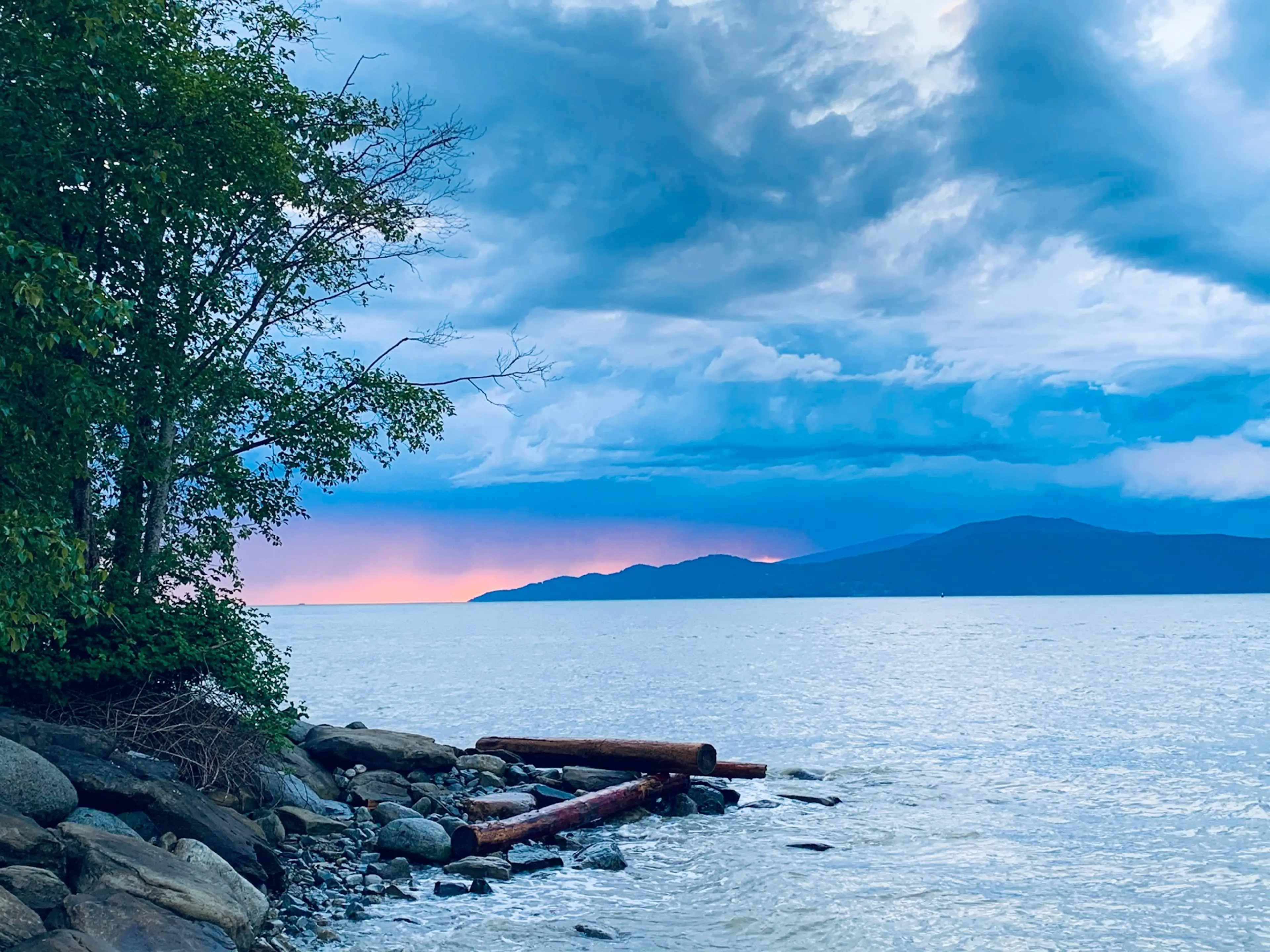 December 2023 Vancouver Hike of the Month: Point Grey Loop