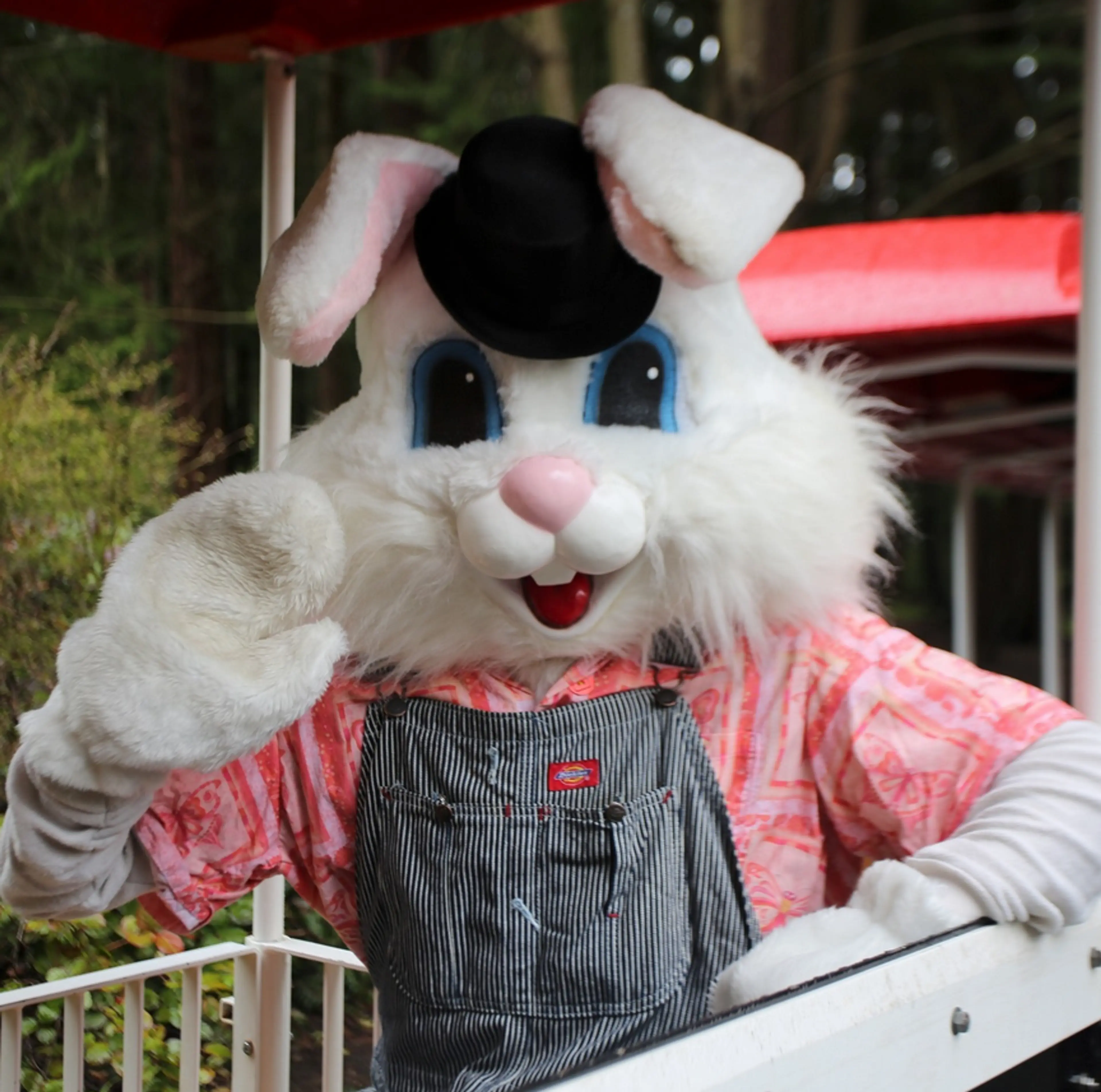 Stanley Park Easter Train