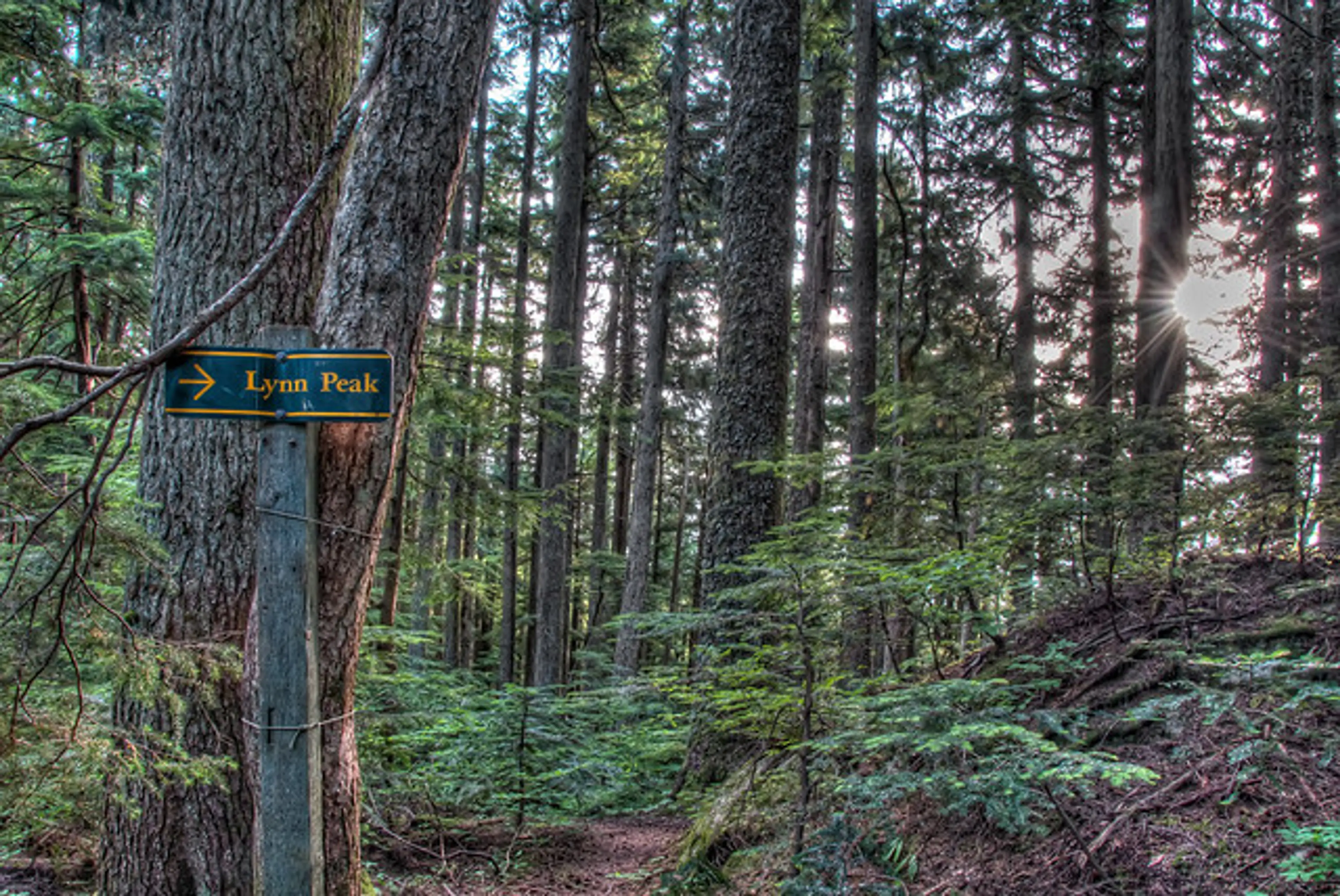 Trail sign in Lynn Headwaters Regional Park in North Vancouver, BC
