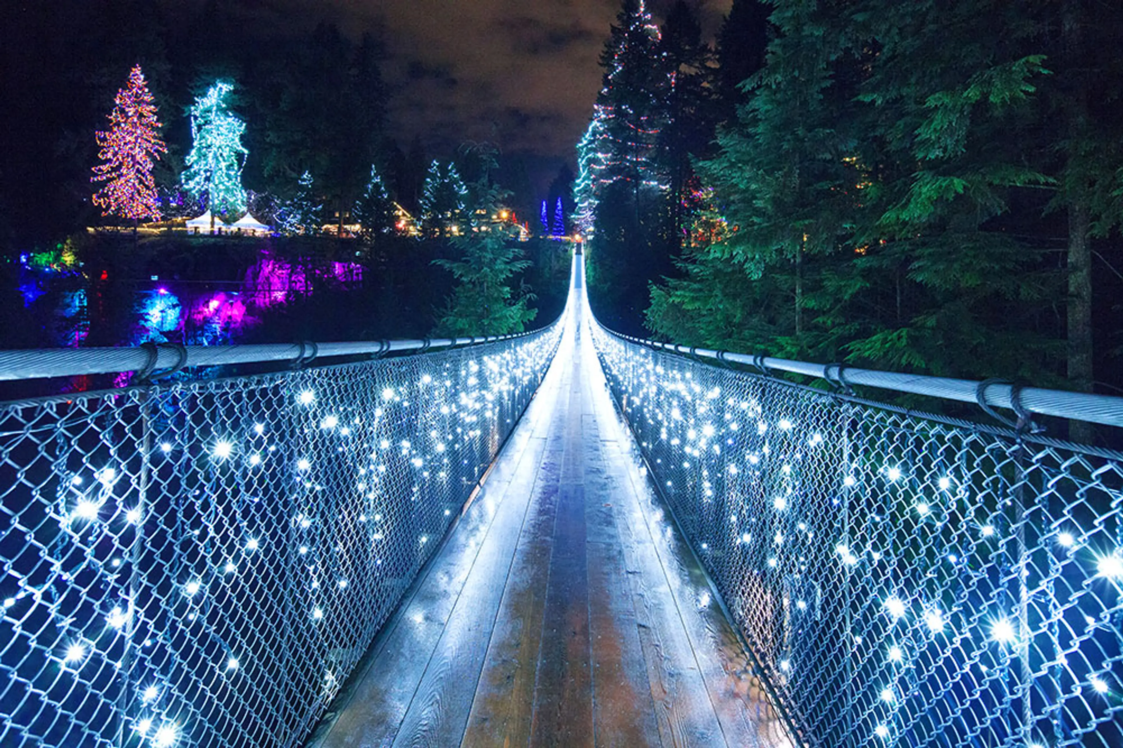 Canyon Lights Winter Festival at the Capilano Suspension Bridge kicks off on Nov 22