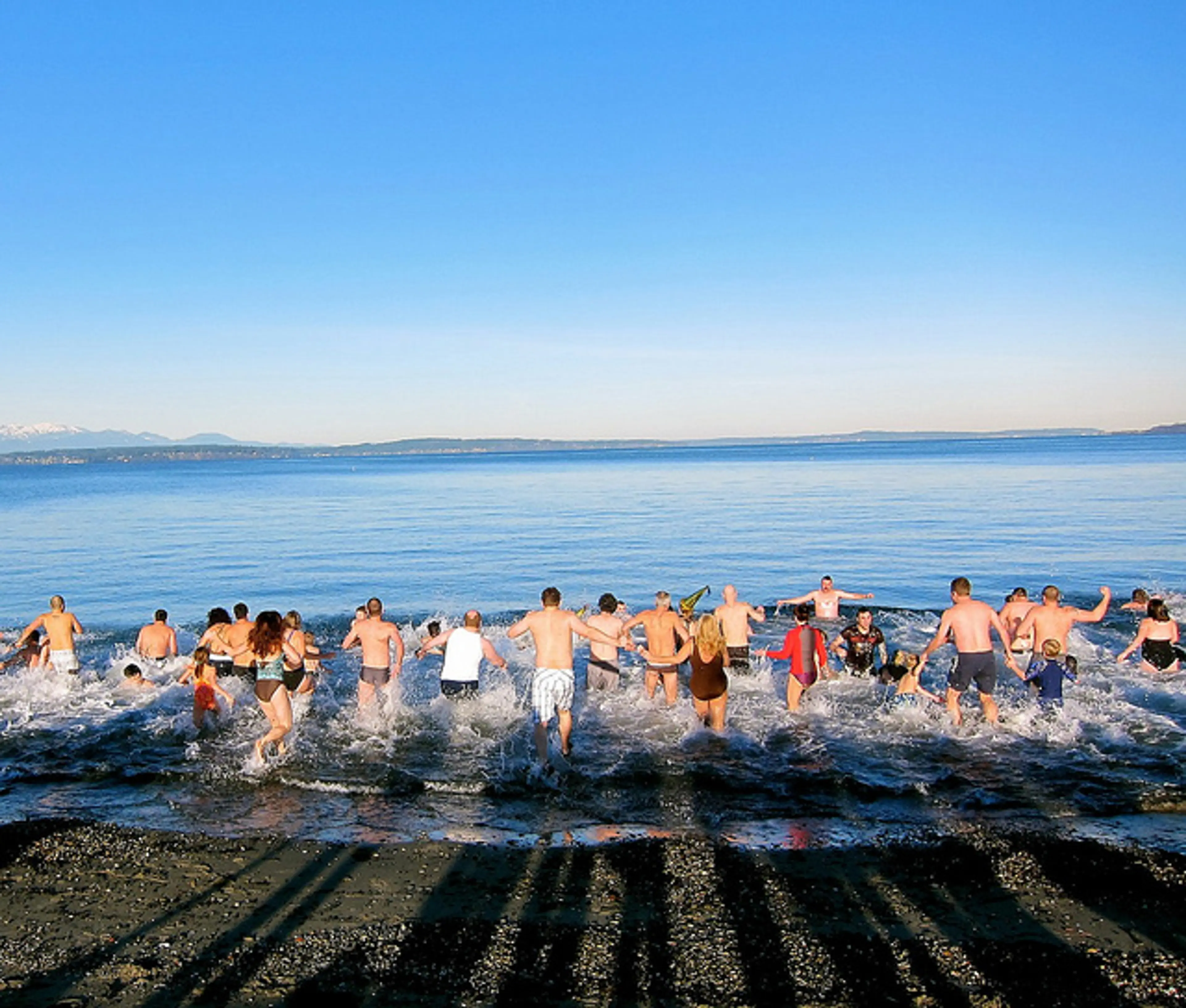 polar bear swim vancouver 2018