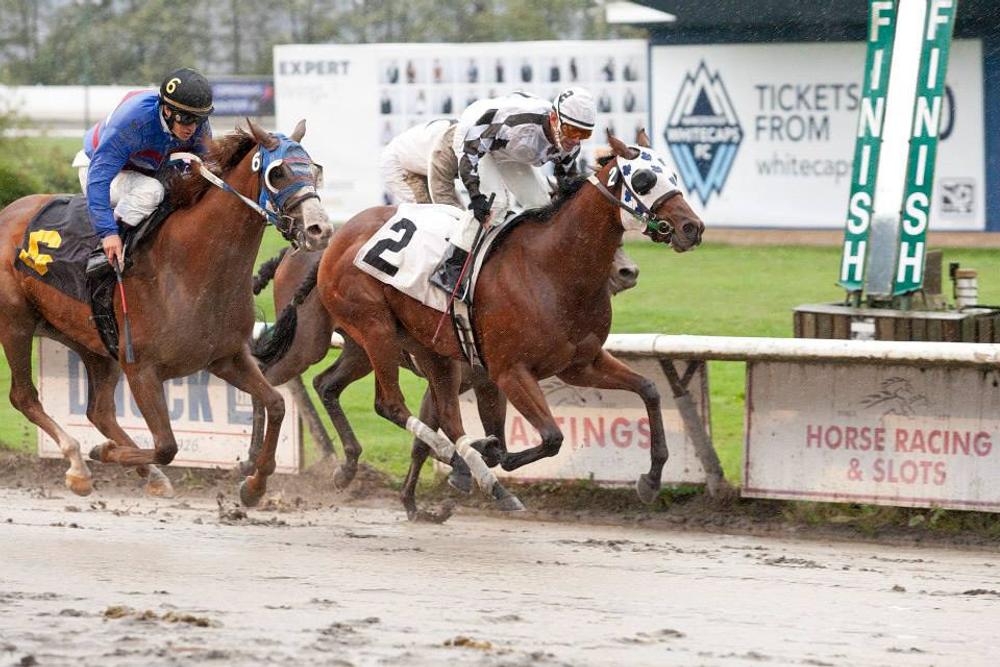 Hastings Racecourse - Race