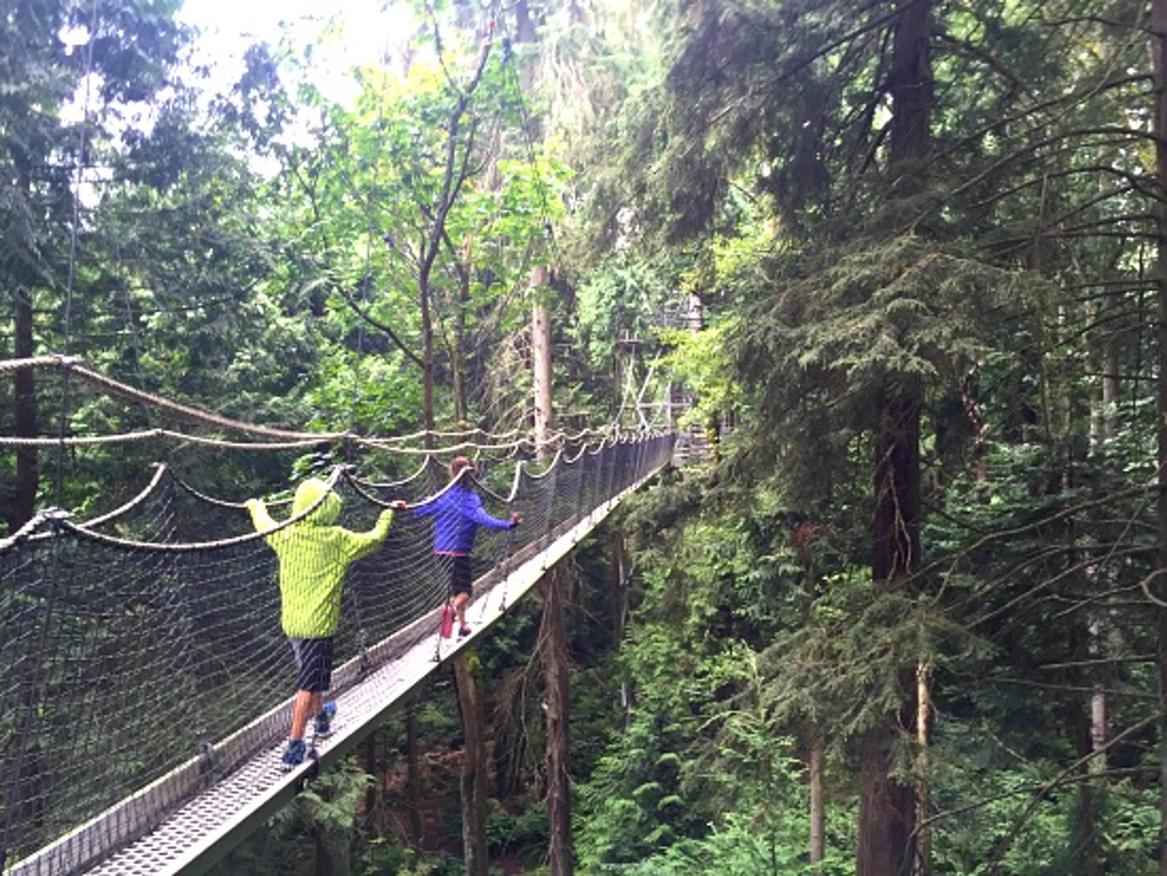 Kids In Vancouver: Teeter Above The Treetops On The Greenheart TreeWalk