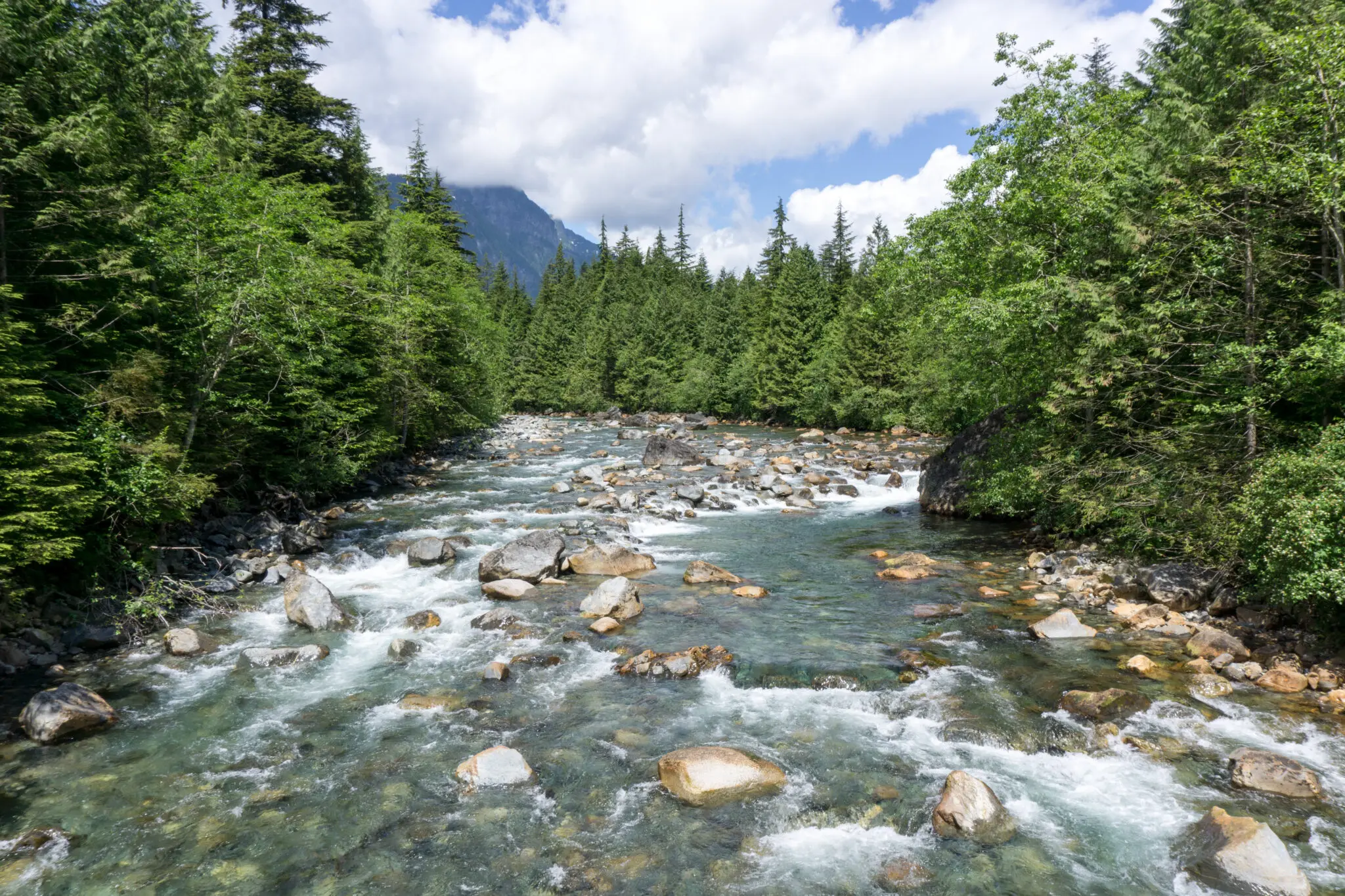 November’s Vancouver Hike of the Month: Gold Creek Canyon Loop