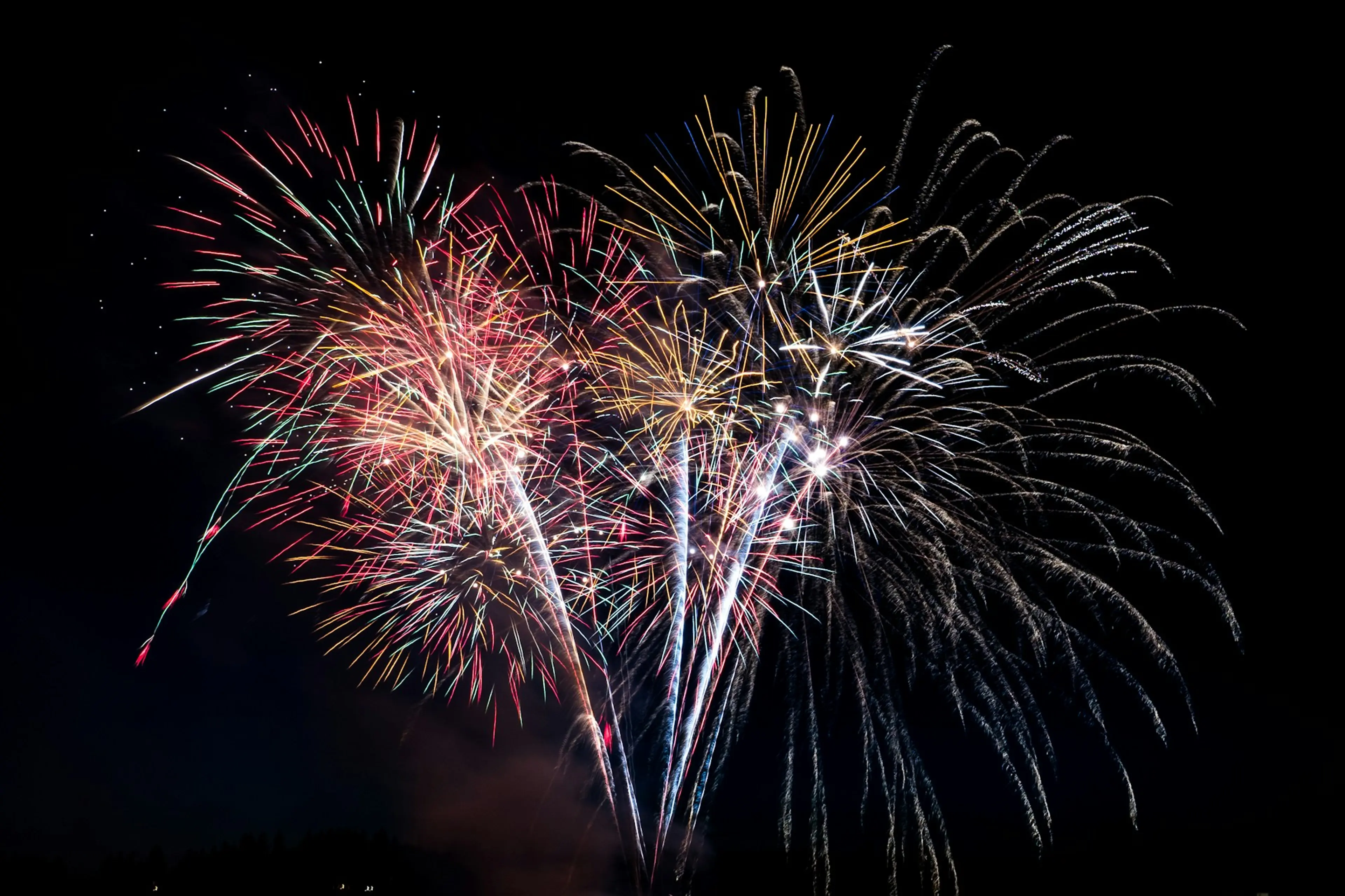 Fireworks in the night sky