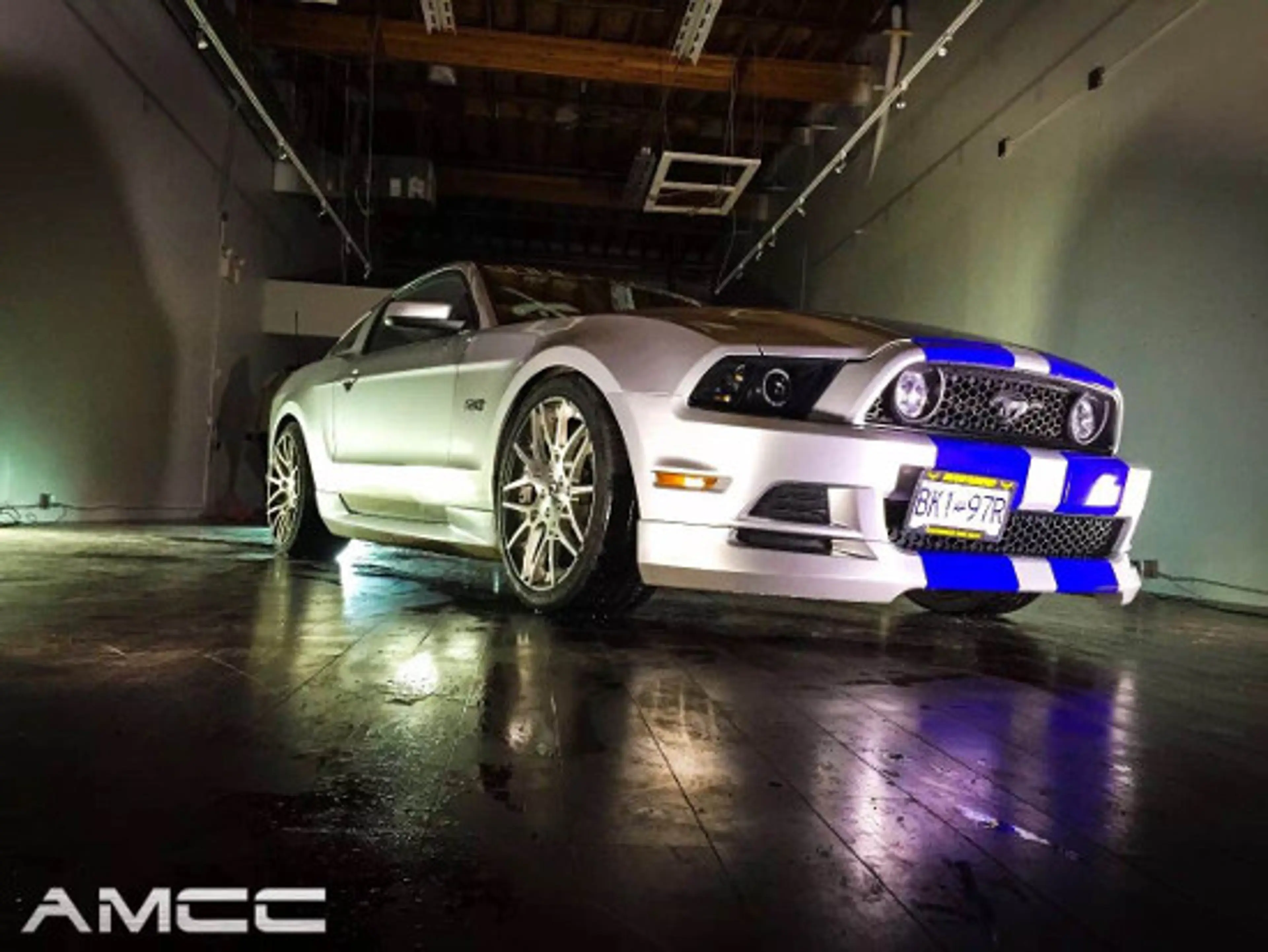 mustang