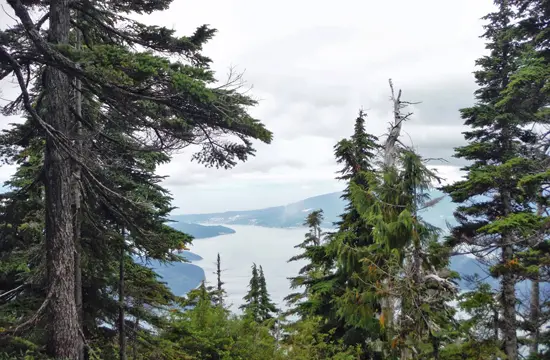 Hike St Marks Discover Outdoors3