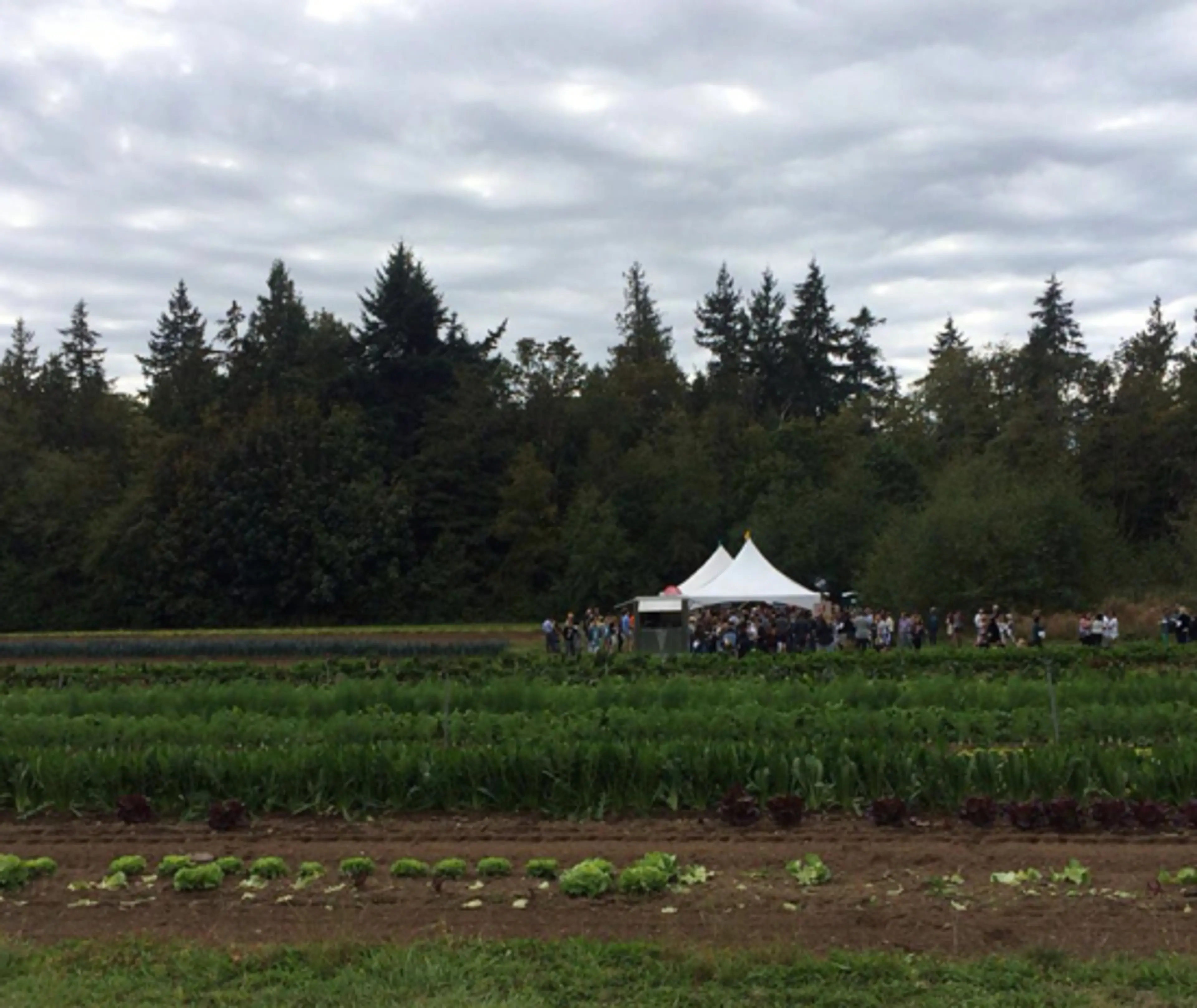 Last year's event at UBC Farm; Photo Credit: Tara Lee