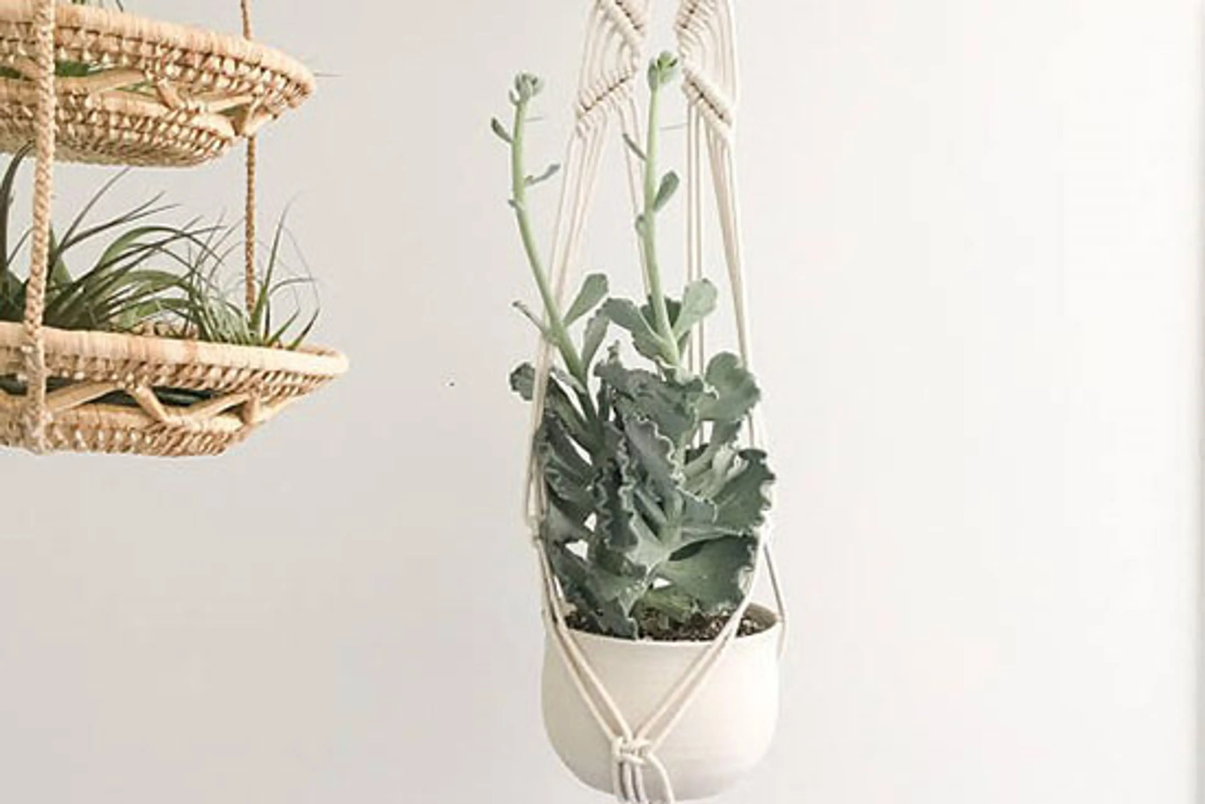 Top 5 Features at the Vancouver Fall Home Show (Free Ticket Giveaway!)