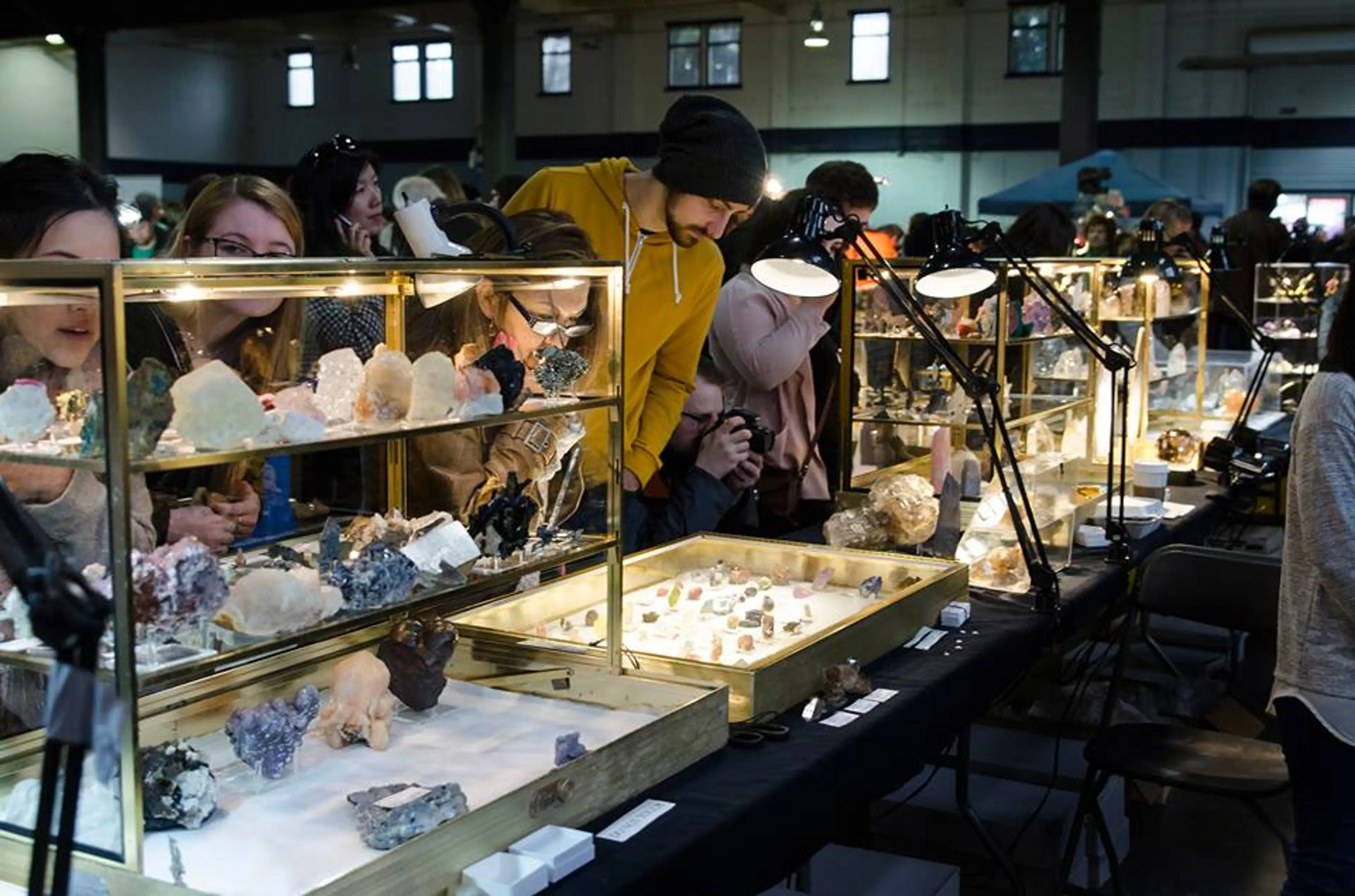 Make your weekend ROCK at the Vancouver Gem & Mineral Show this March 22 – 24
