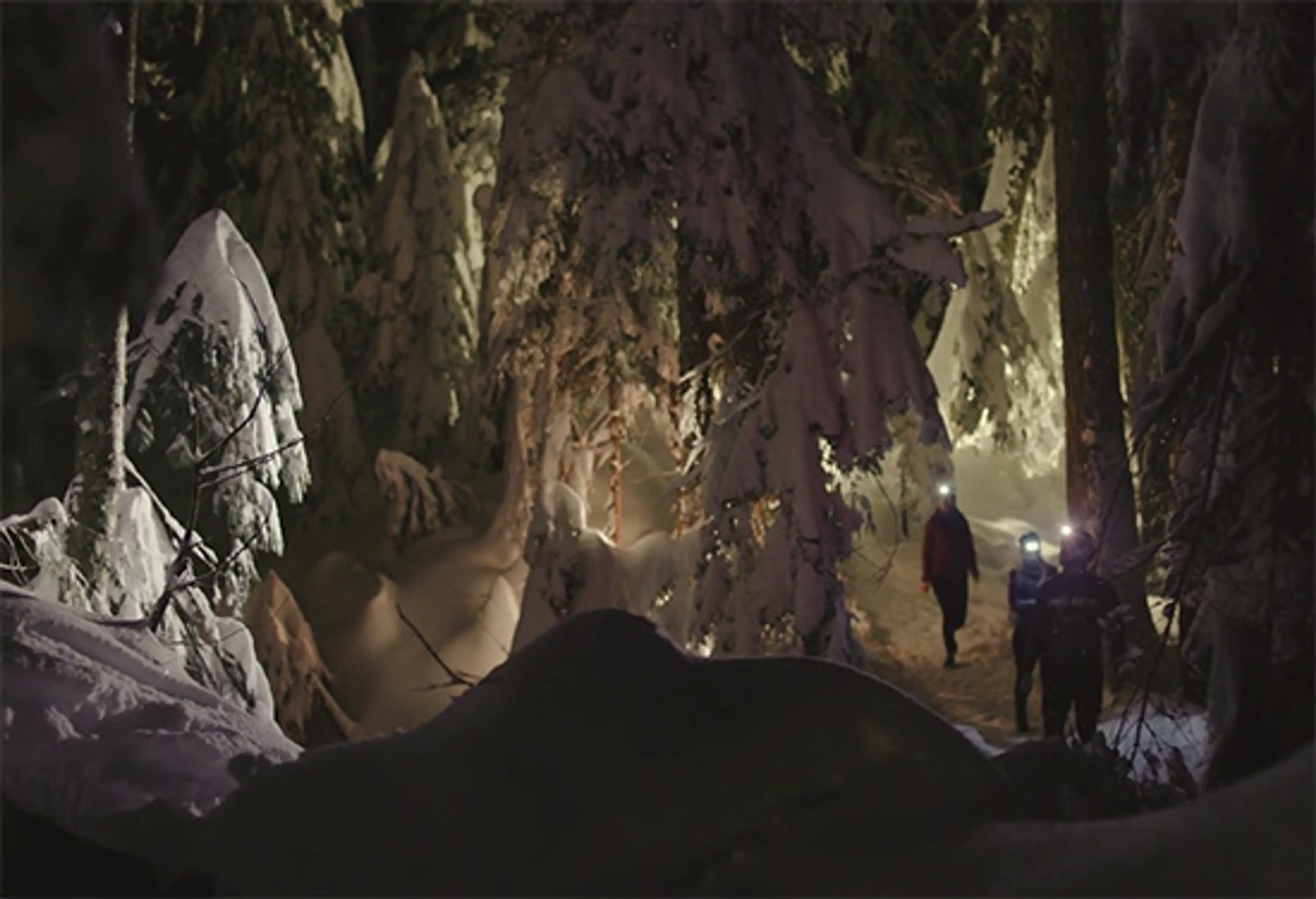Night Hiking in Vancouver