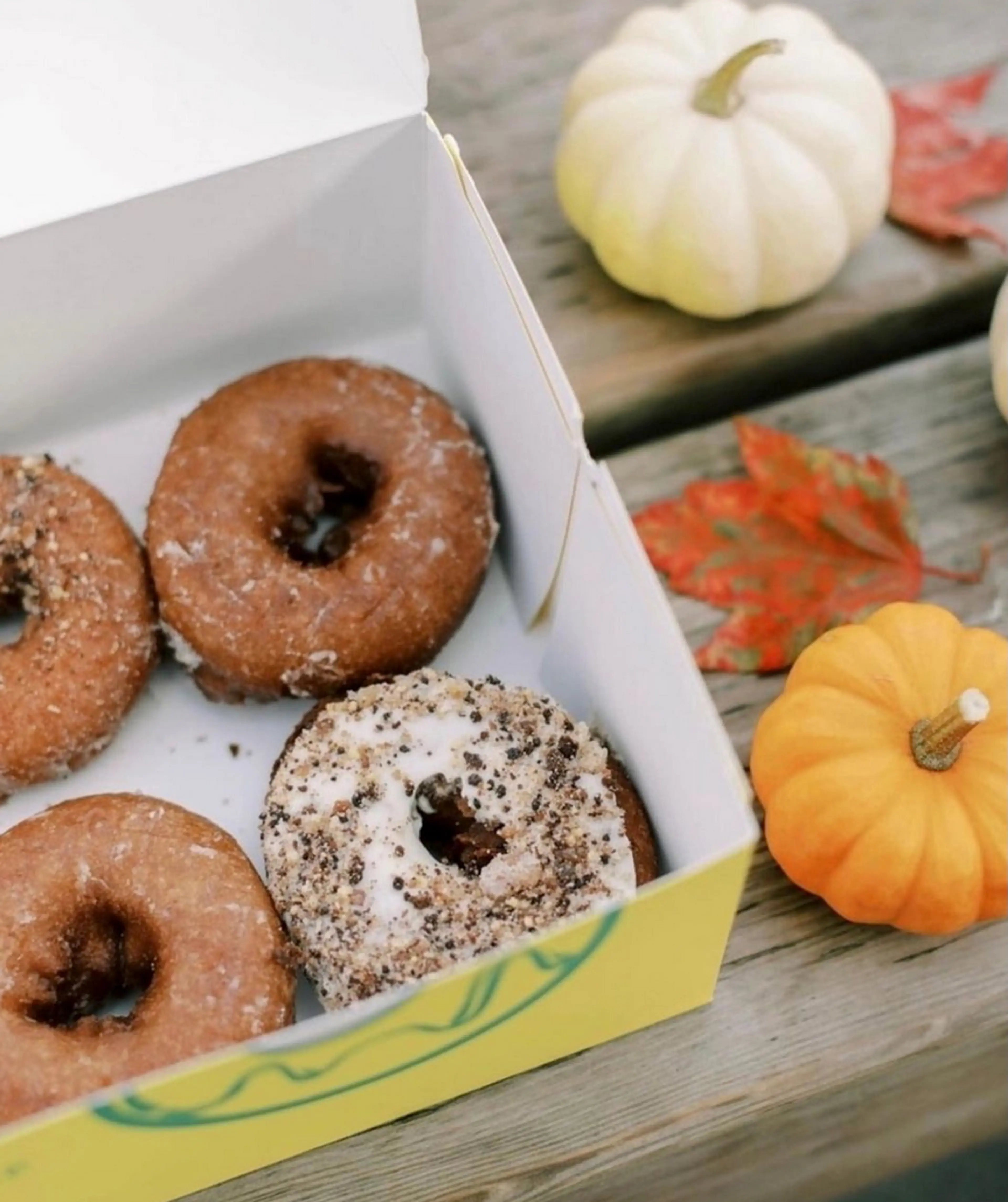 Pumpkin donuts from Lee's Donuts sit in a box next to a mini pumpkins and fall leaves.