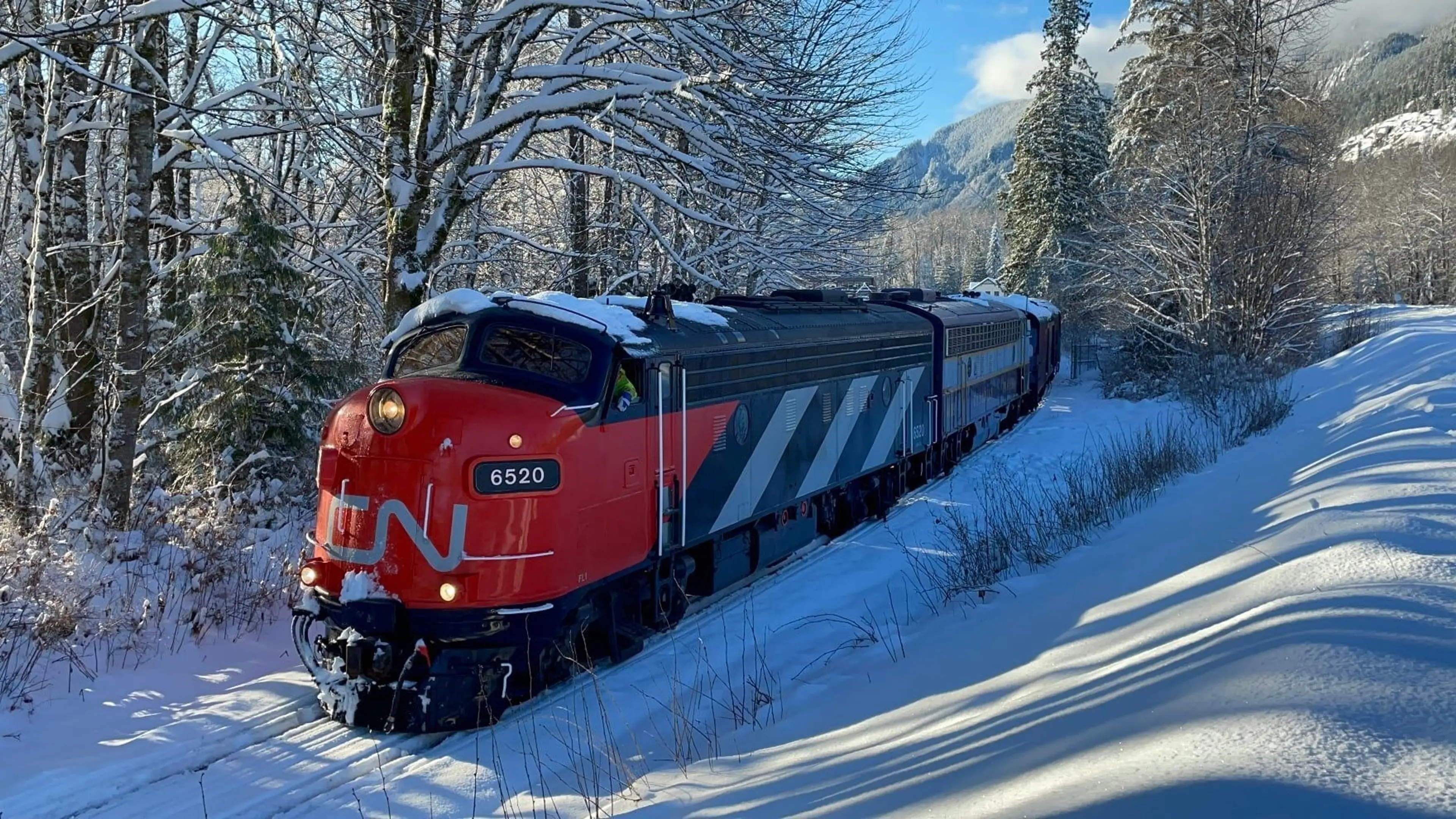 w-1760h-990-aee831-NPEX-train-2-CV