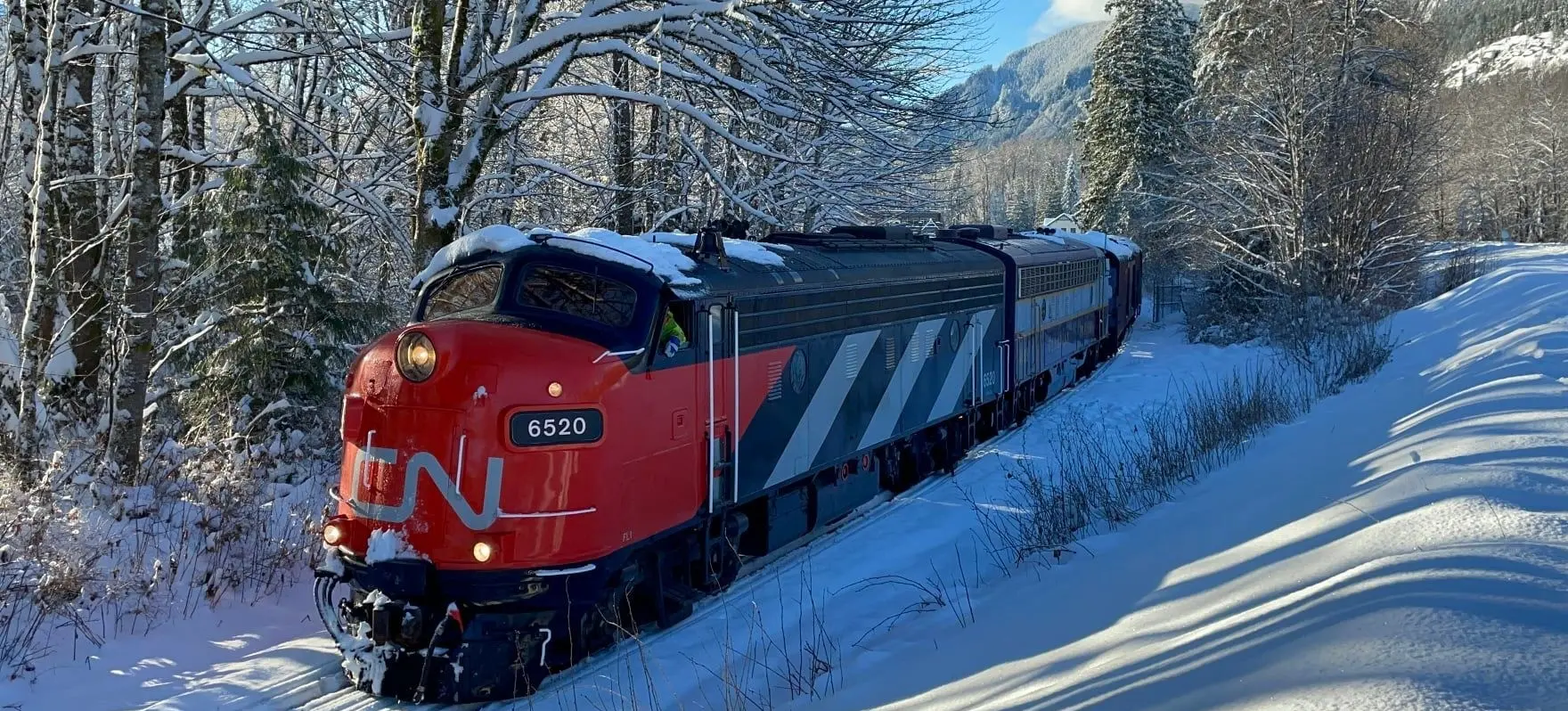 w-1760h-990-aee831-NPEX-train-2-CV