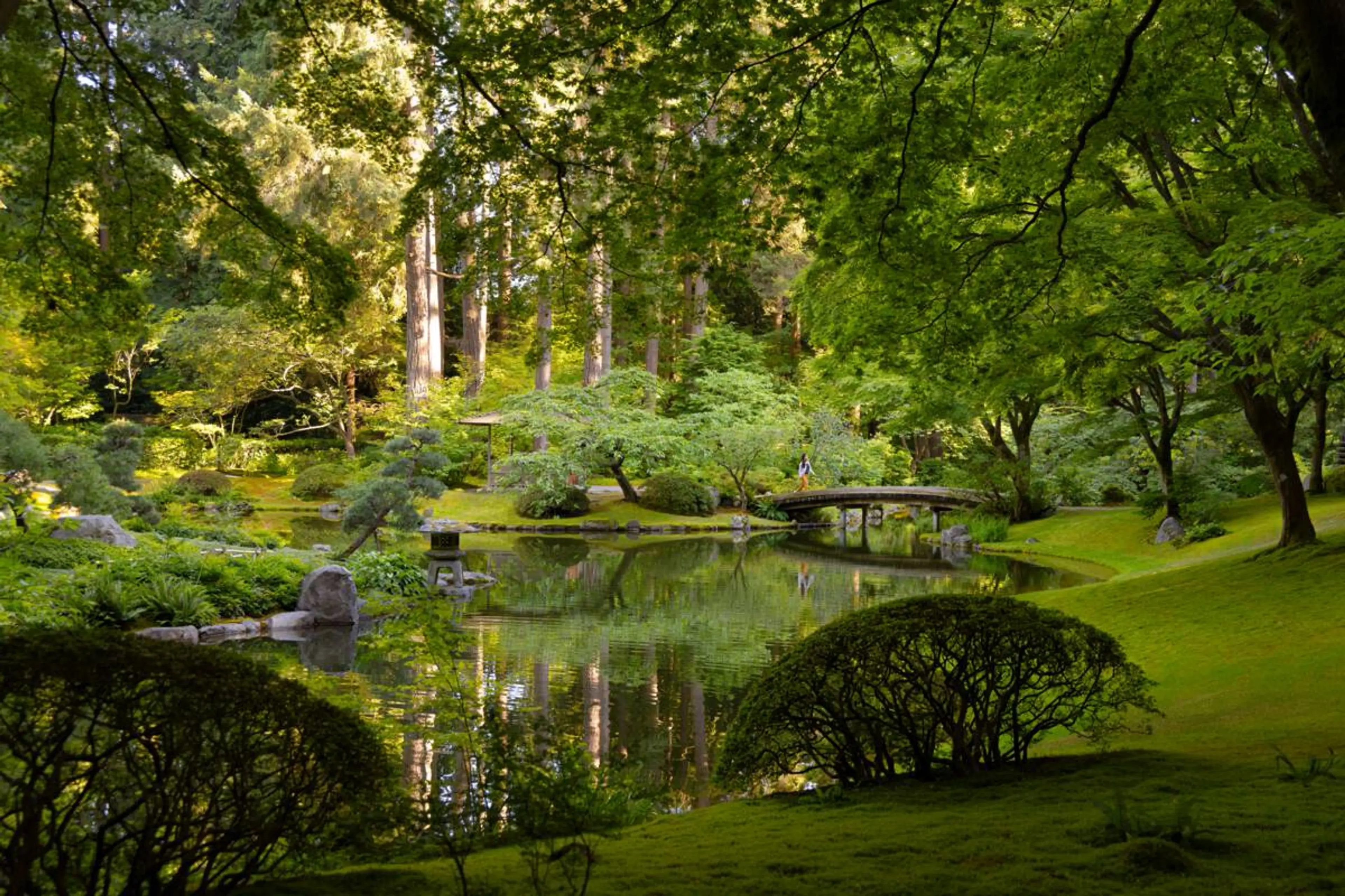A lush green garden with traditional Japanese architecture.