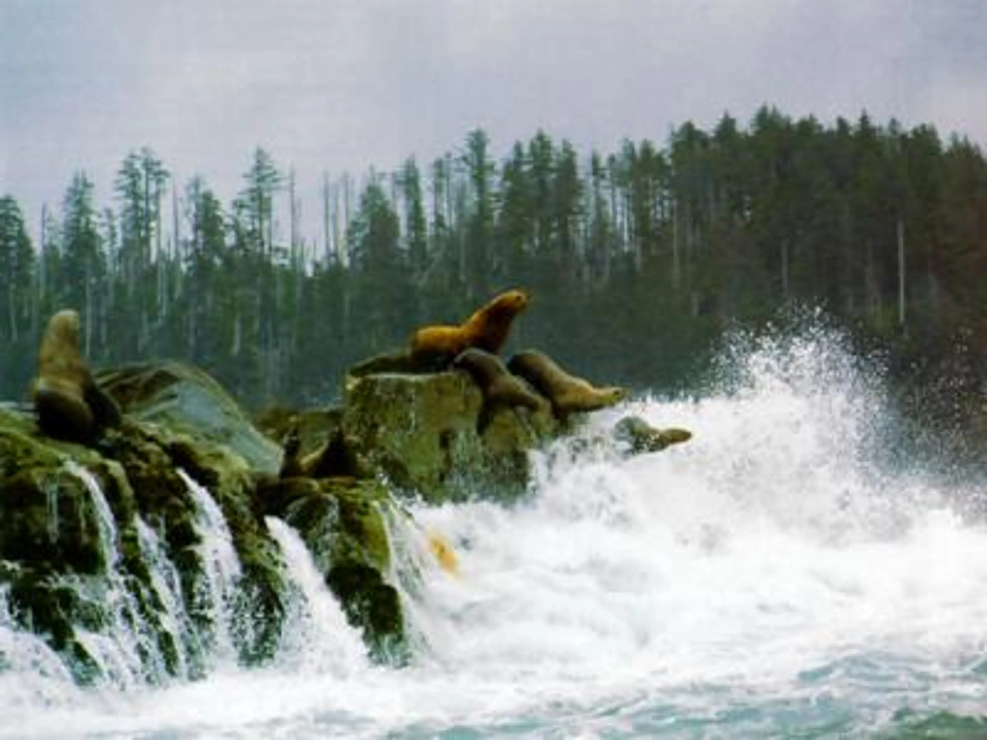 Speaker Series: Gwaii Haanas