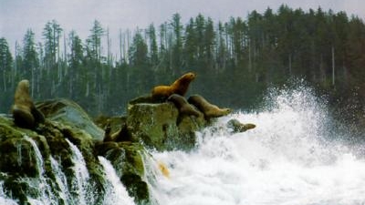 Speaker Series: Gwaii Haanas