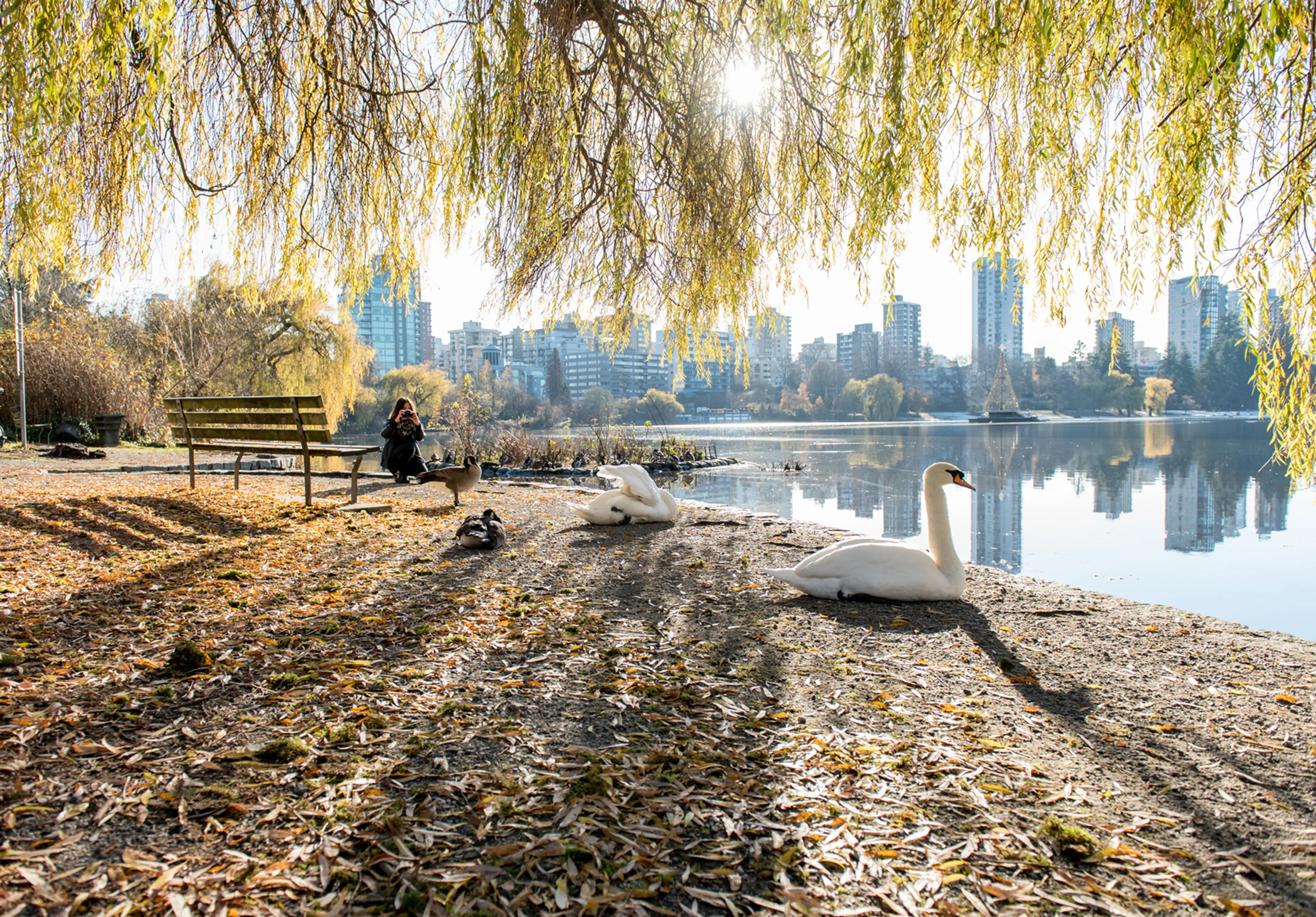 Stanley Park