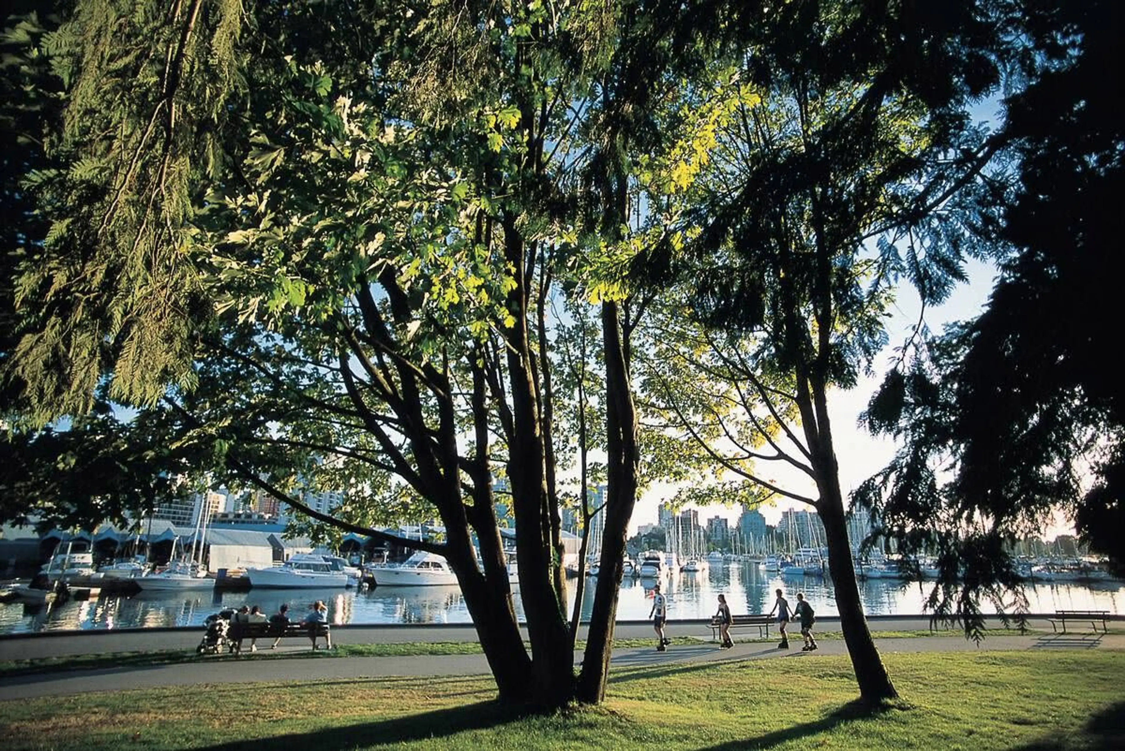 Coal Harbour