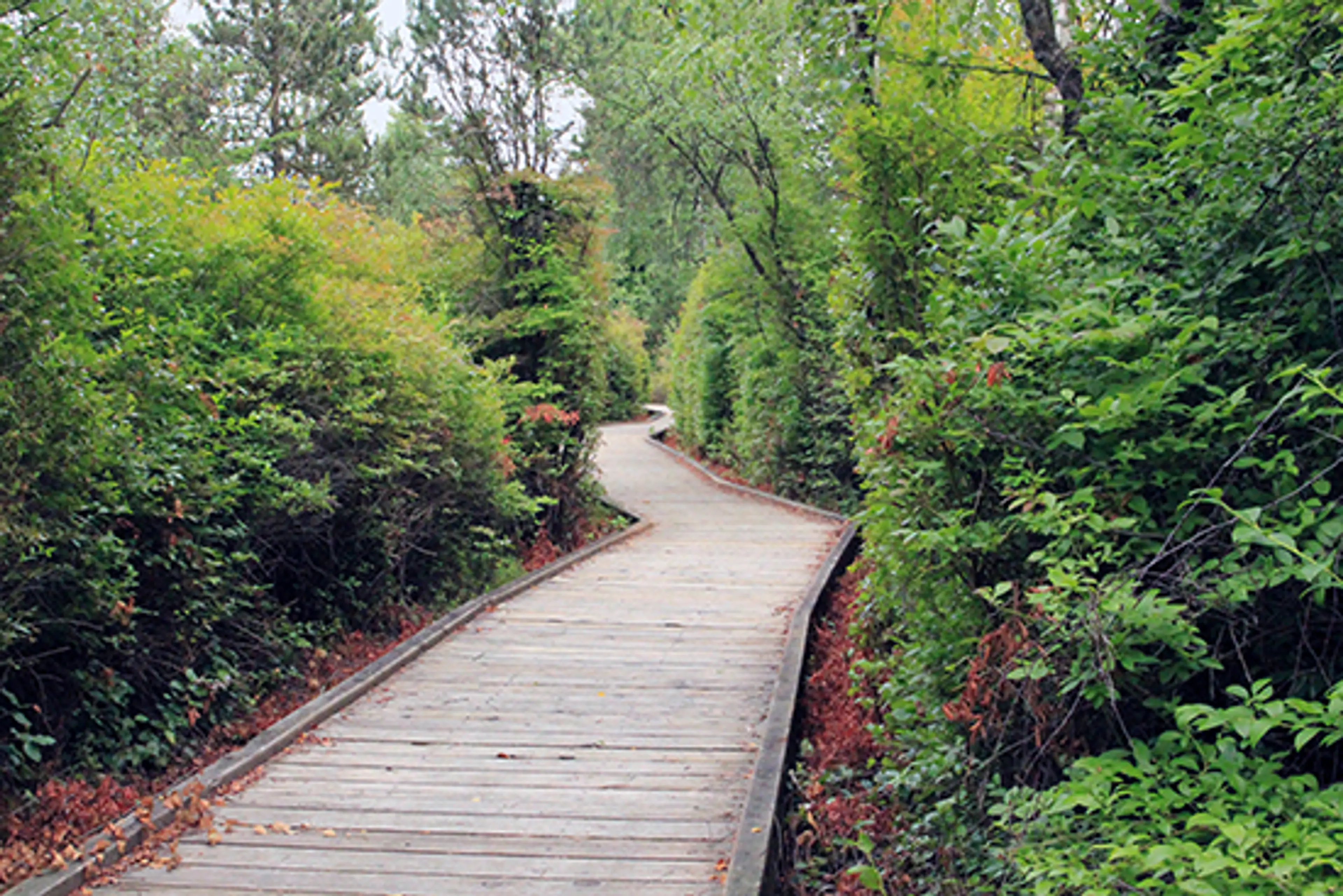 Discover Outdoors Richmond Nature Park7