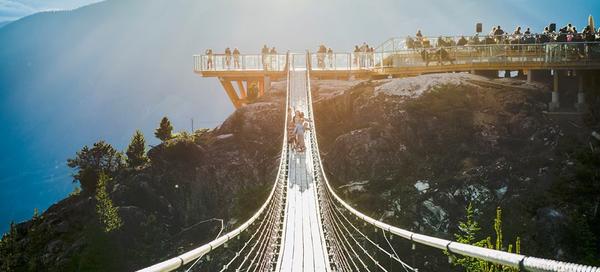 Suspension bridge
